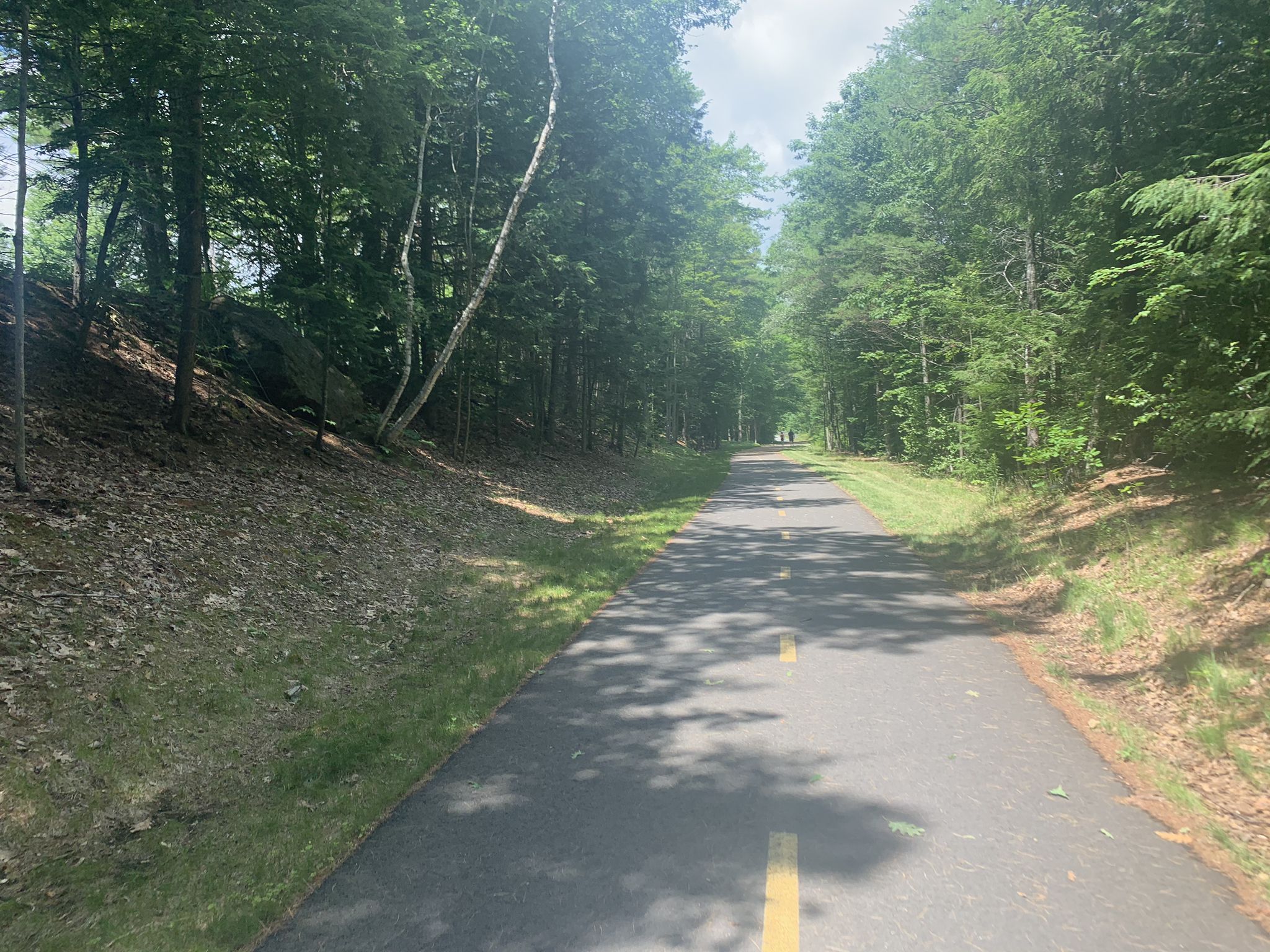 Paved path through a sun-dappled forest with tall trees. - North Central Pathway – North Central Pathway loop from Winchendon