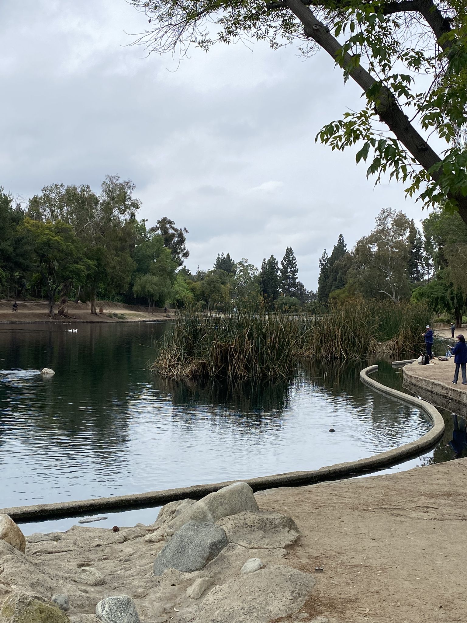 Overcast lake with reeds, concrete barrier, and people on the far bank. - Bud Turner Trail