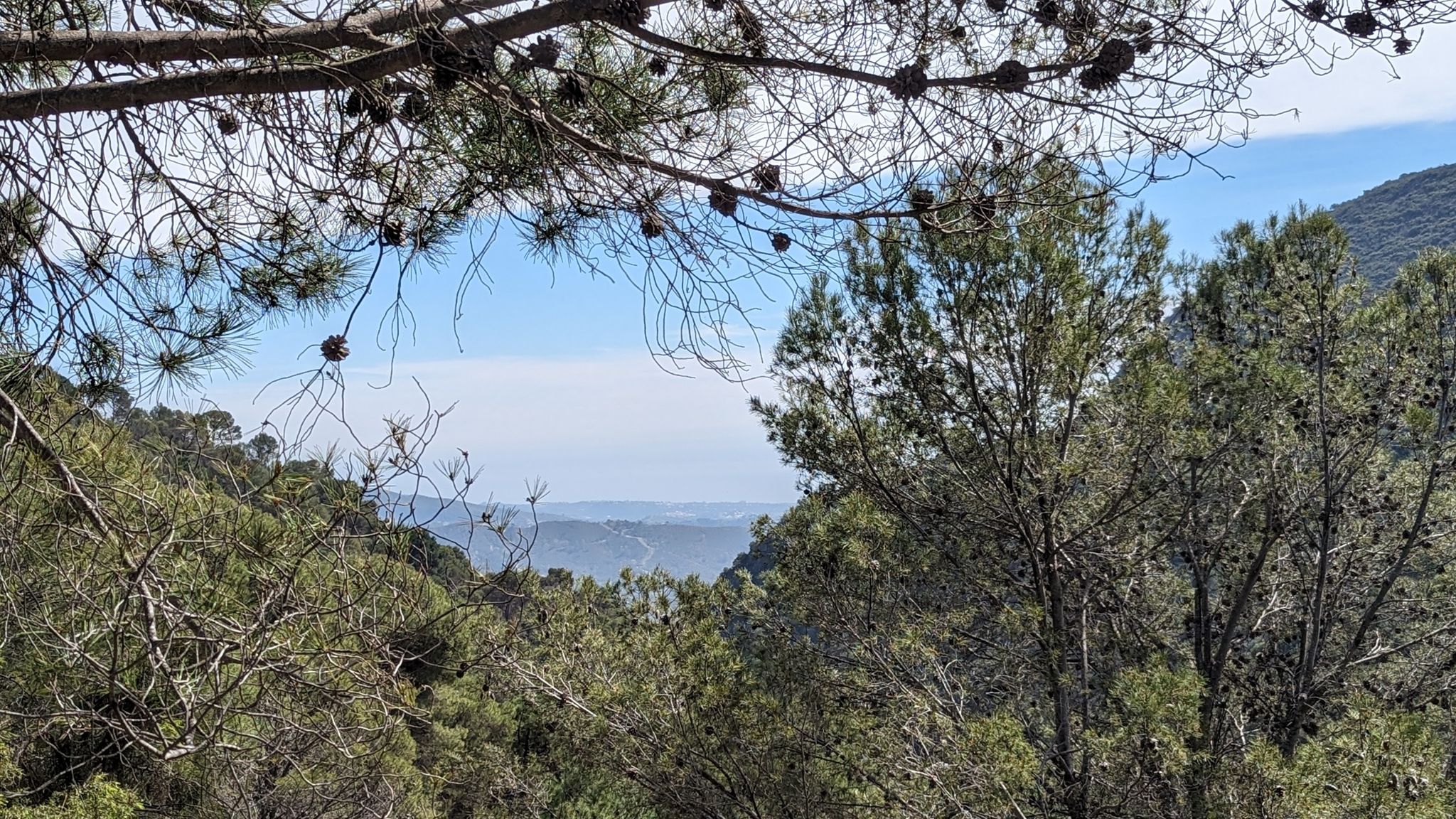 View towards Marbella