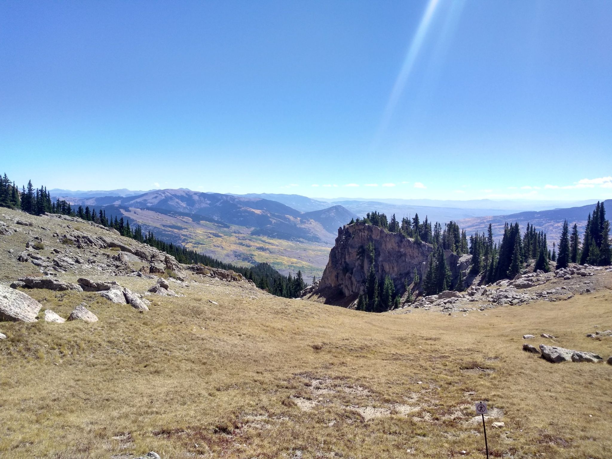 Sunny mountain landscape with grassy slopes, pine trees, and distant peaks. - Upper Westside to Crested Butte