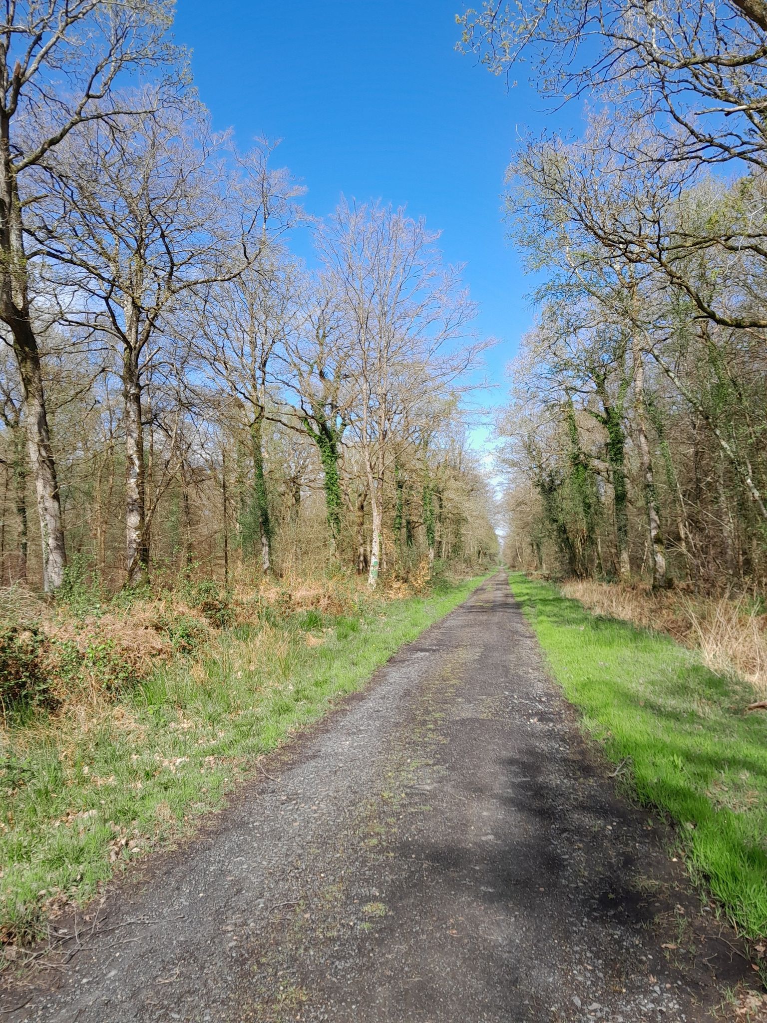 Chemin d'exploitation