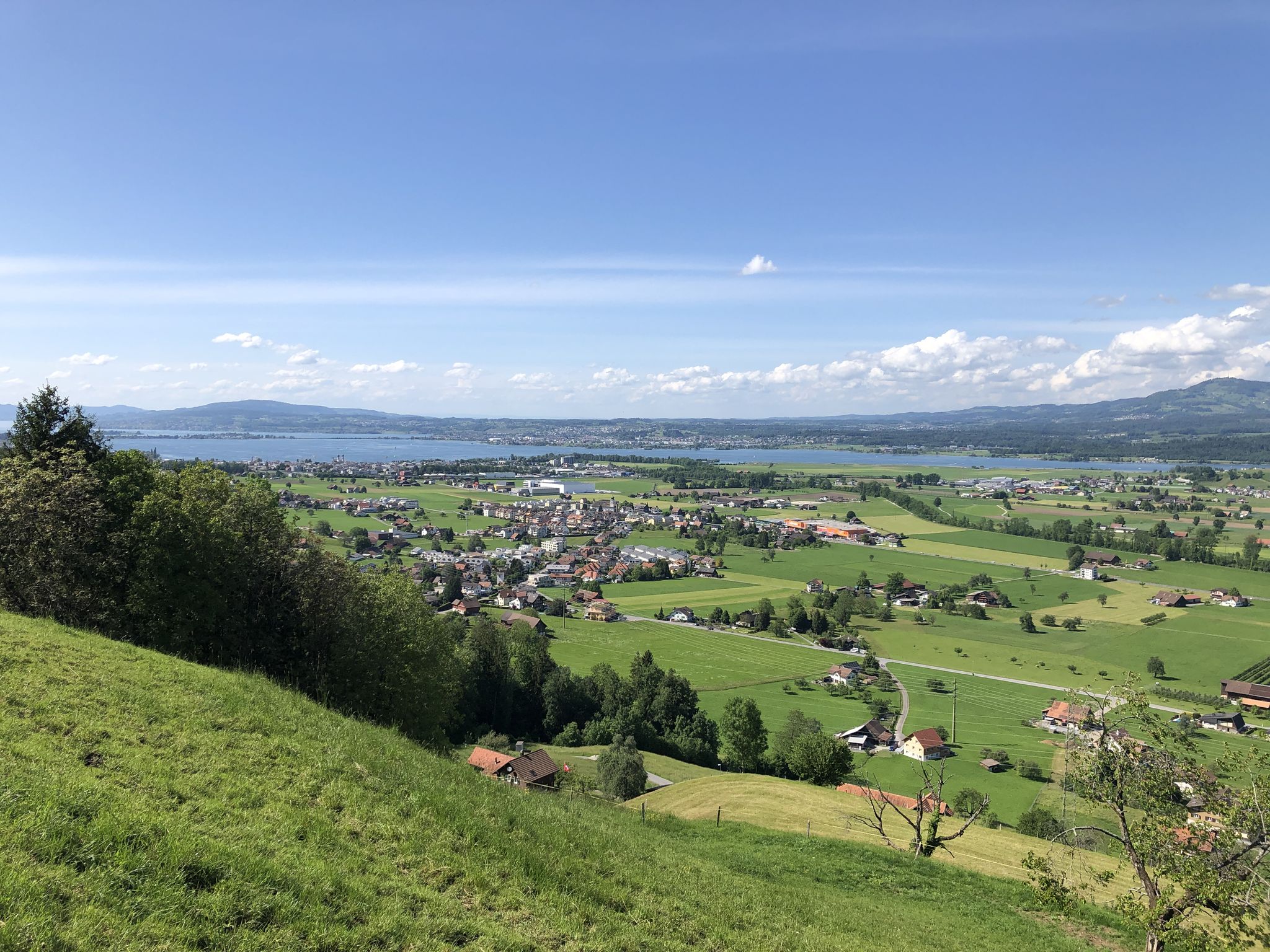 Galgenen und Lachen am oberen Zürichsee