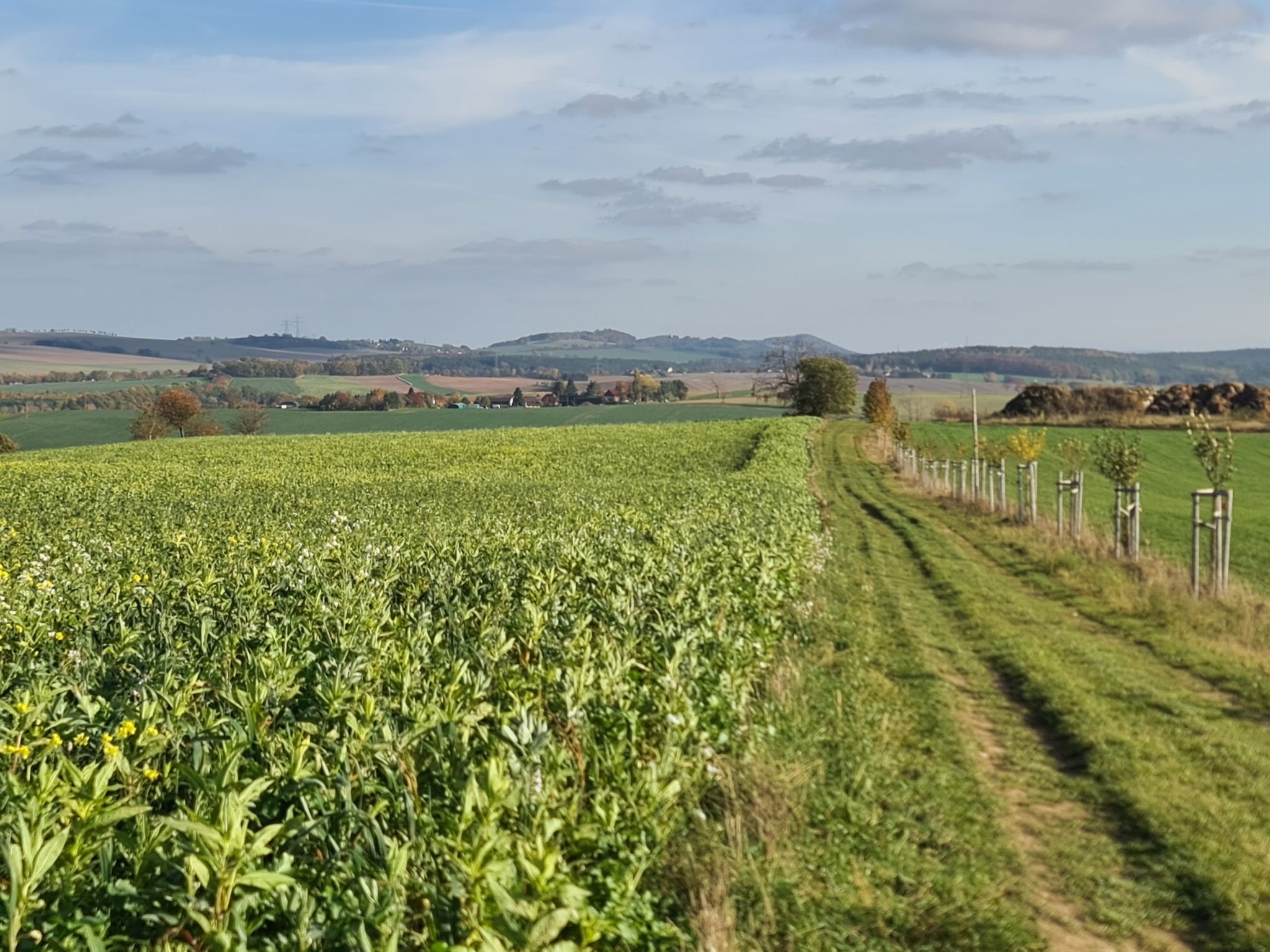 Blick zum Wilisch