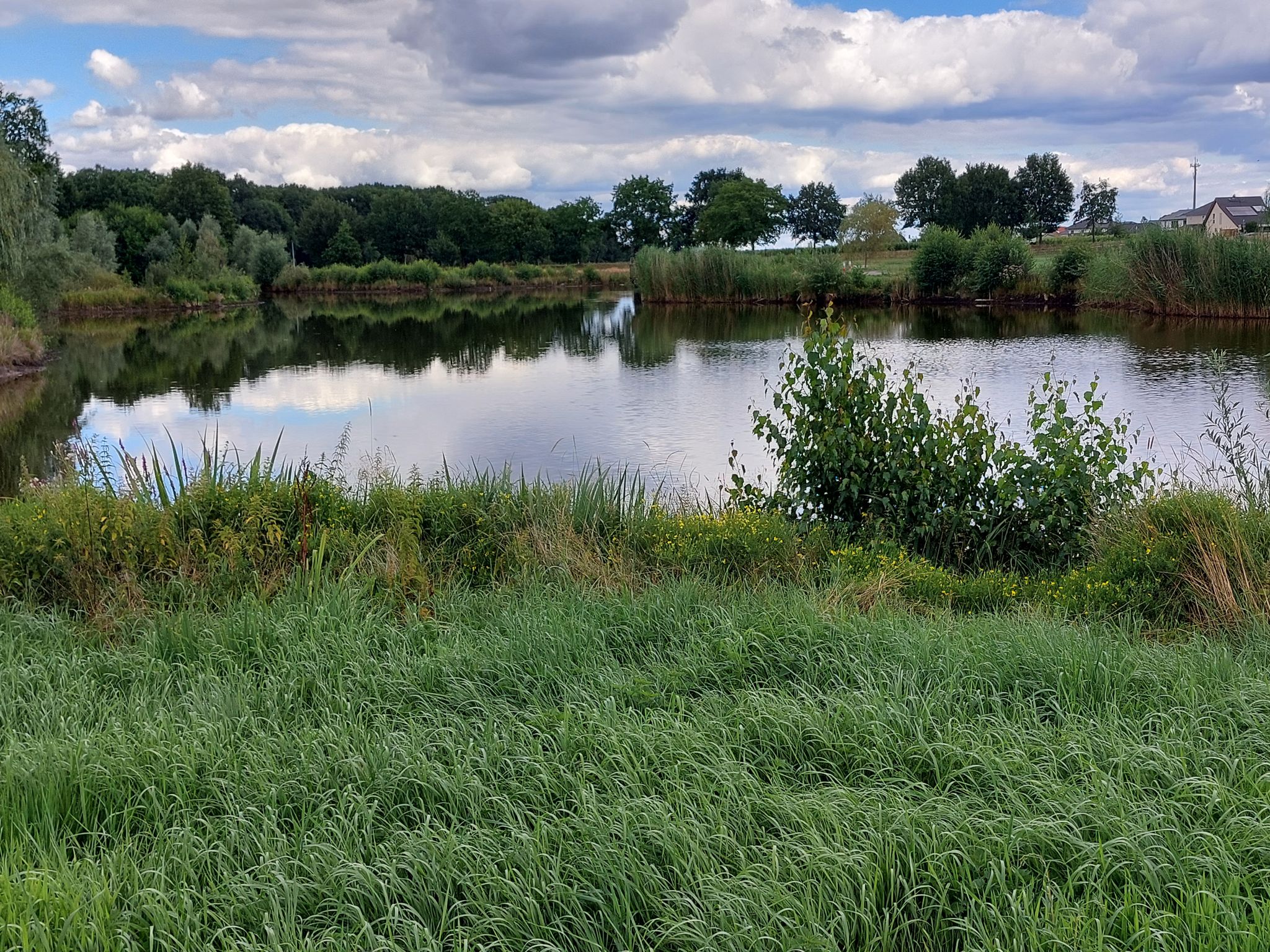 Landschaftssee Steimbke