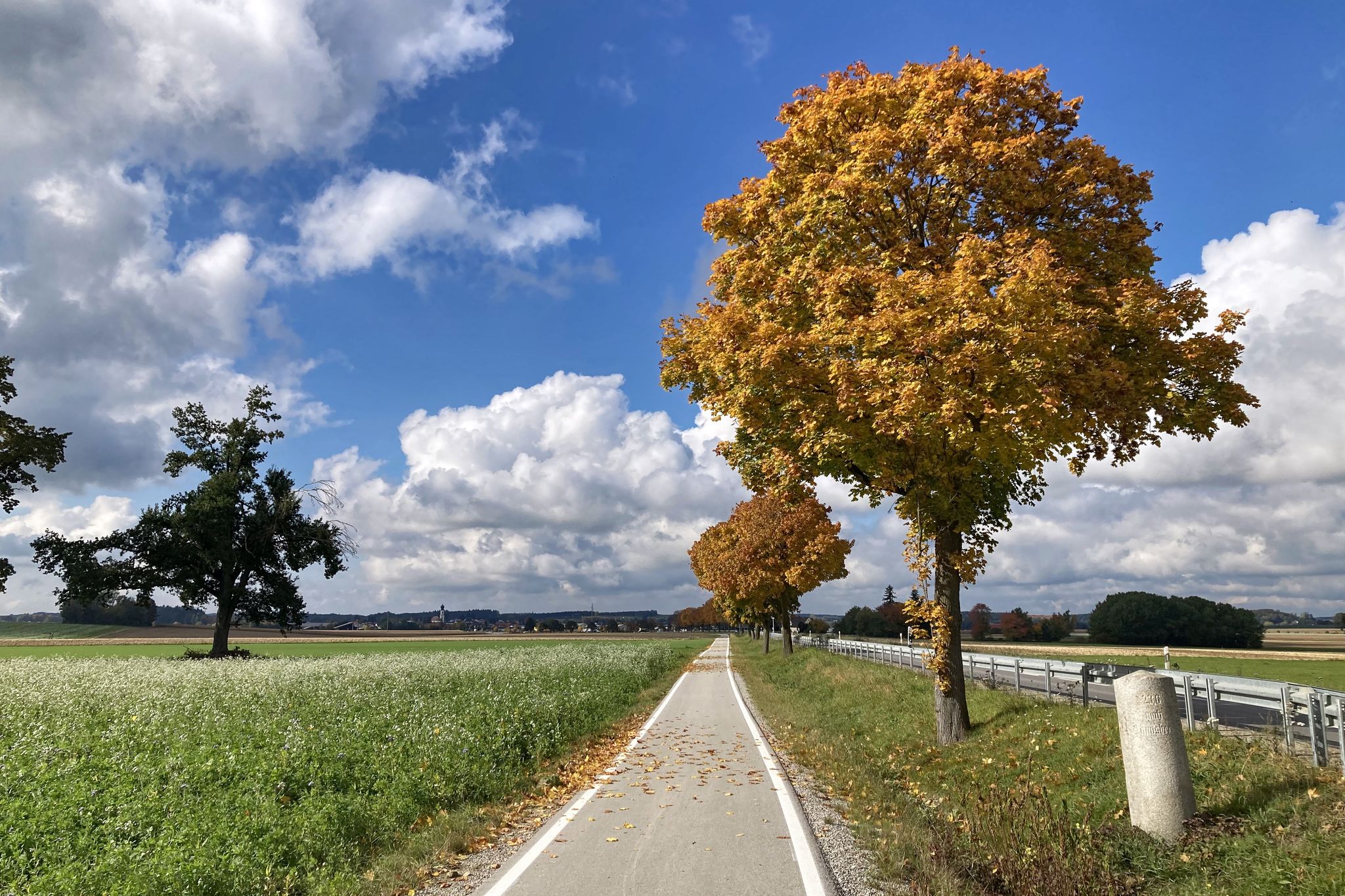Neuer Radweg bei Moorenweis