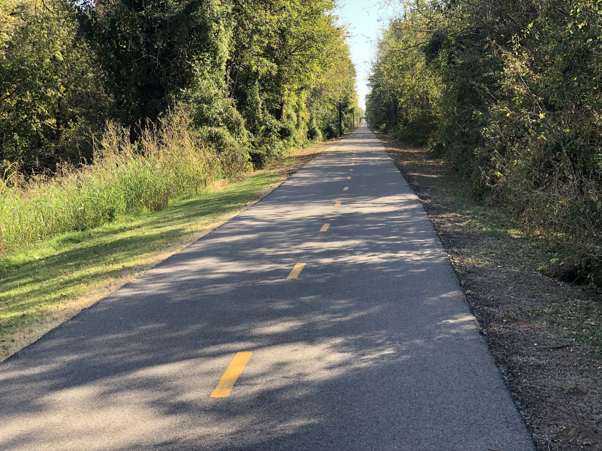 A paved path with yellow lines, lined by lush green trees on a sunny day. - KATY Trail Loop