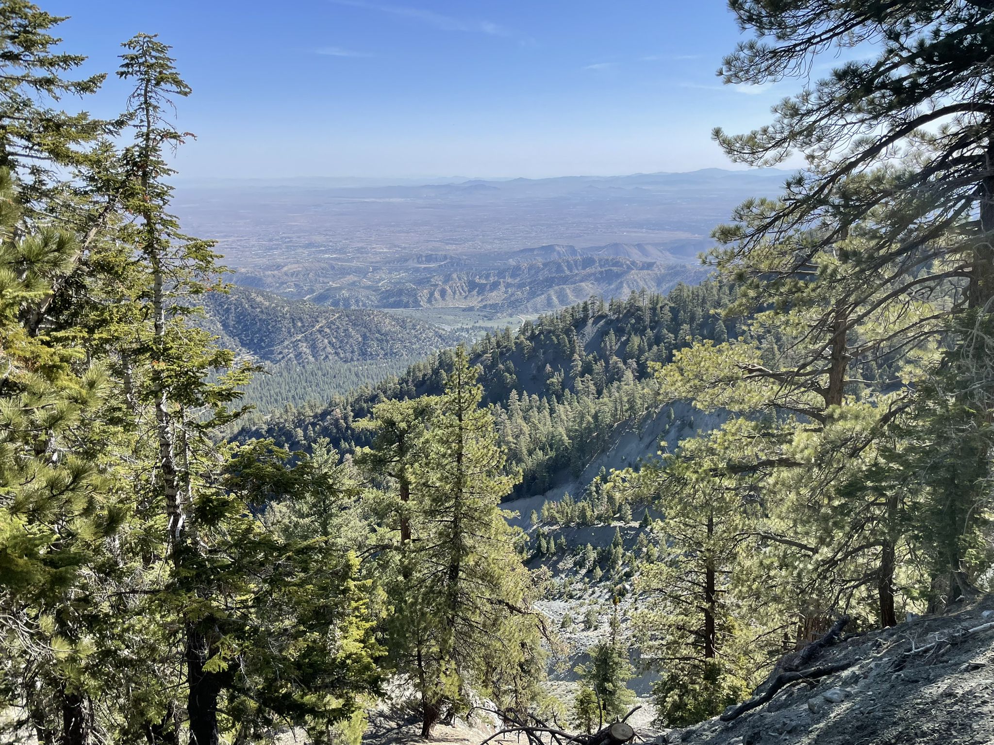 Panoramic view of forested mountains and a vast distant valley. - Wright Mountain via Pacific Crest Trail