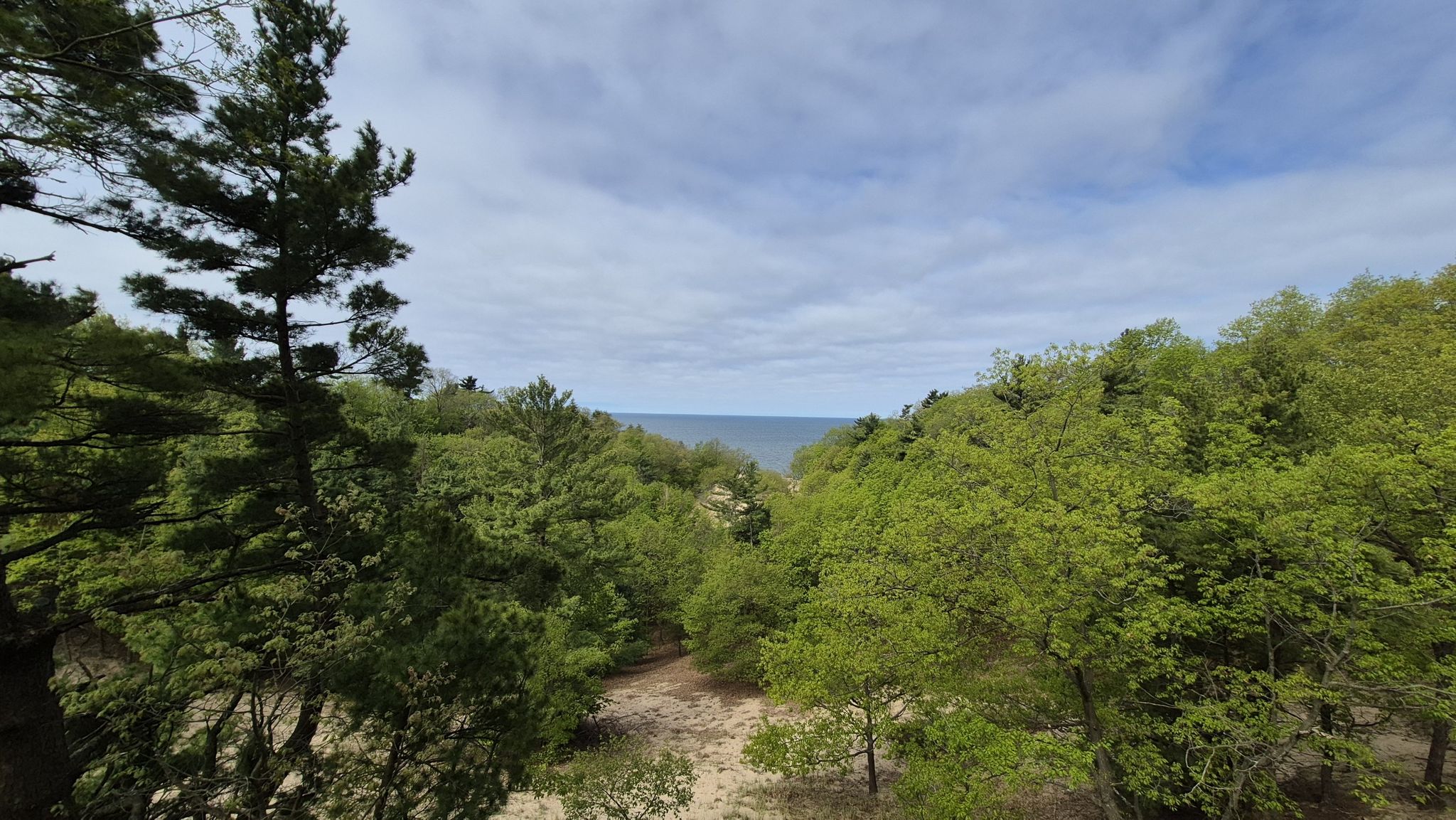 Overlook of a large body of water through green trees under a cloudy sky. - Homestead Trail loop