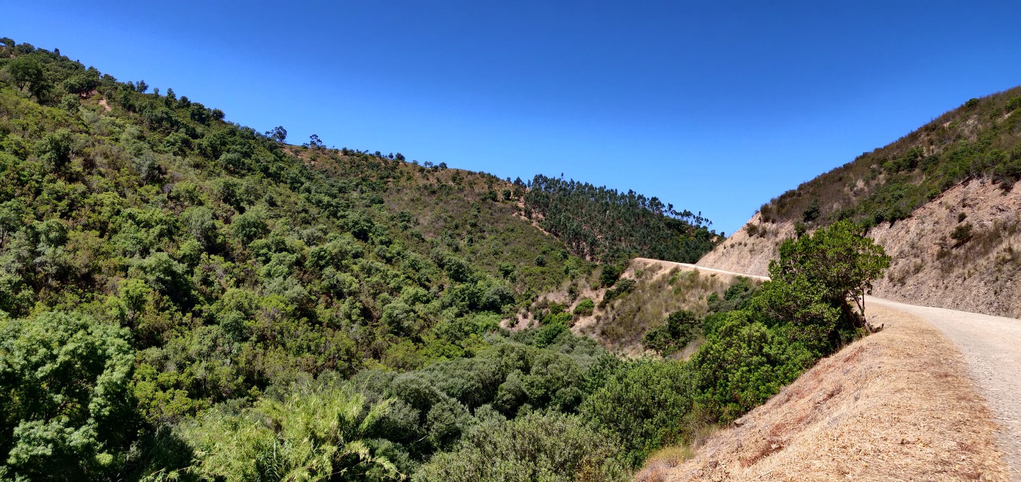 Na estrada de terra batida entre Águas Frias e Foz do Ribeiro