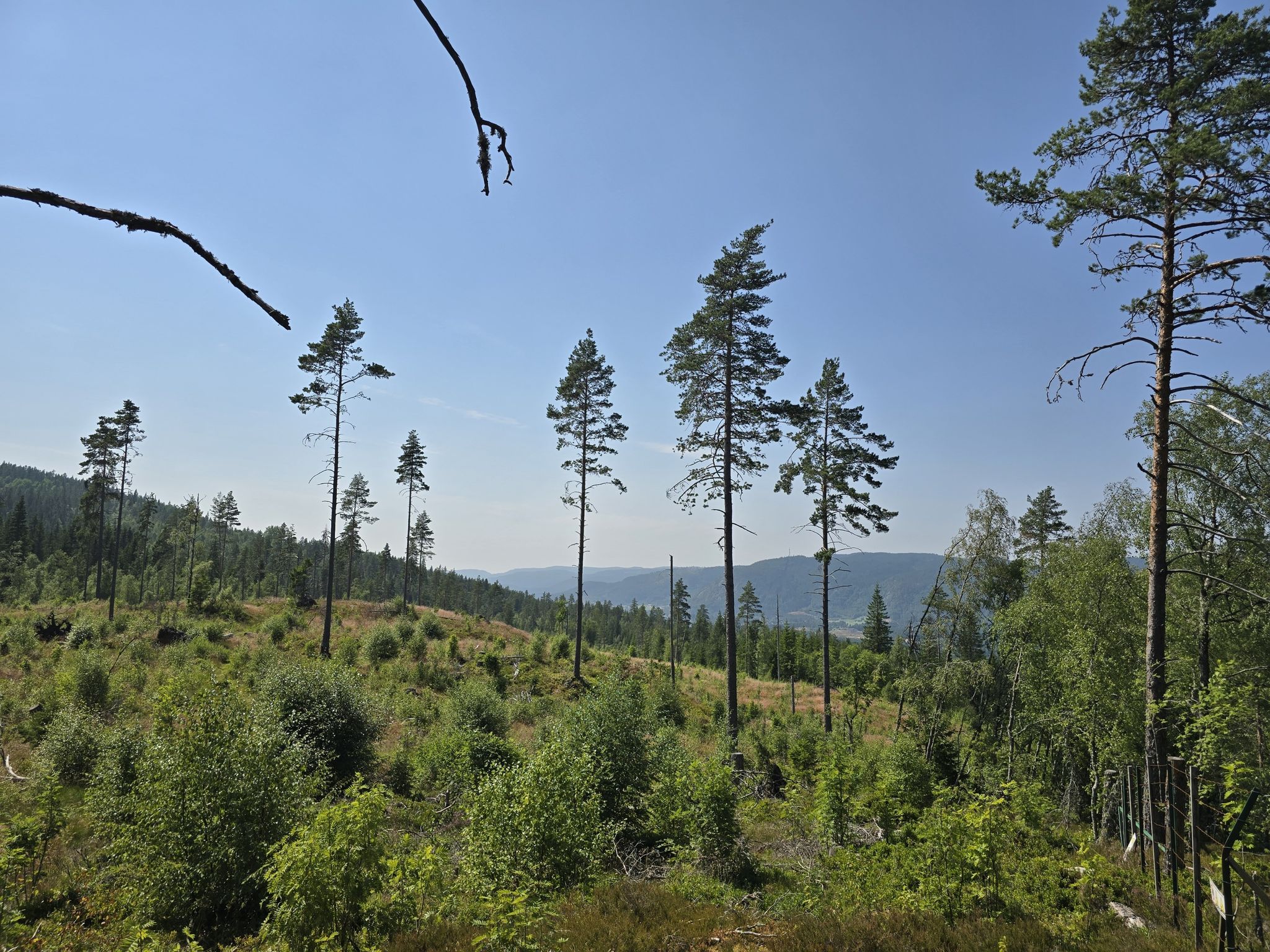 Aussichtspunkt