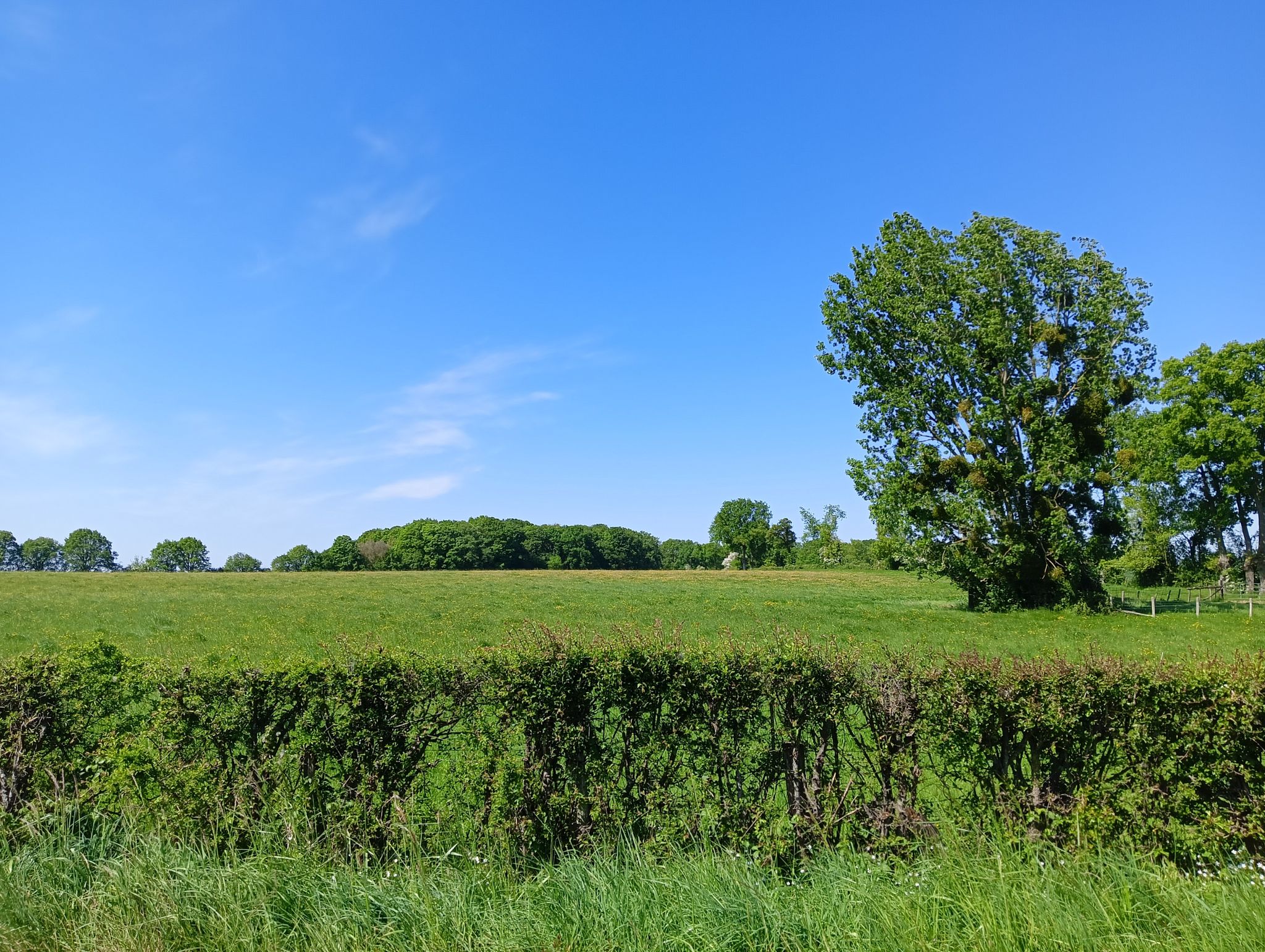 prairie