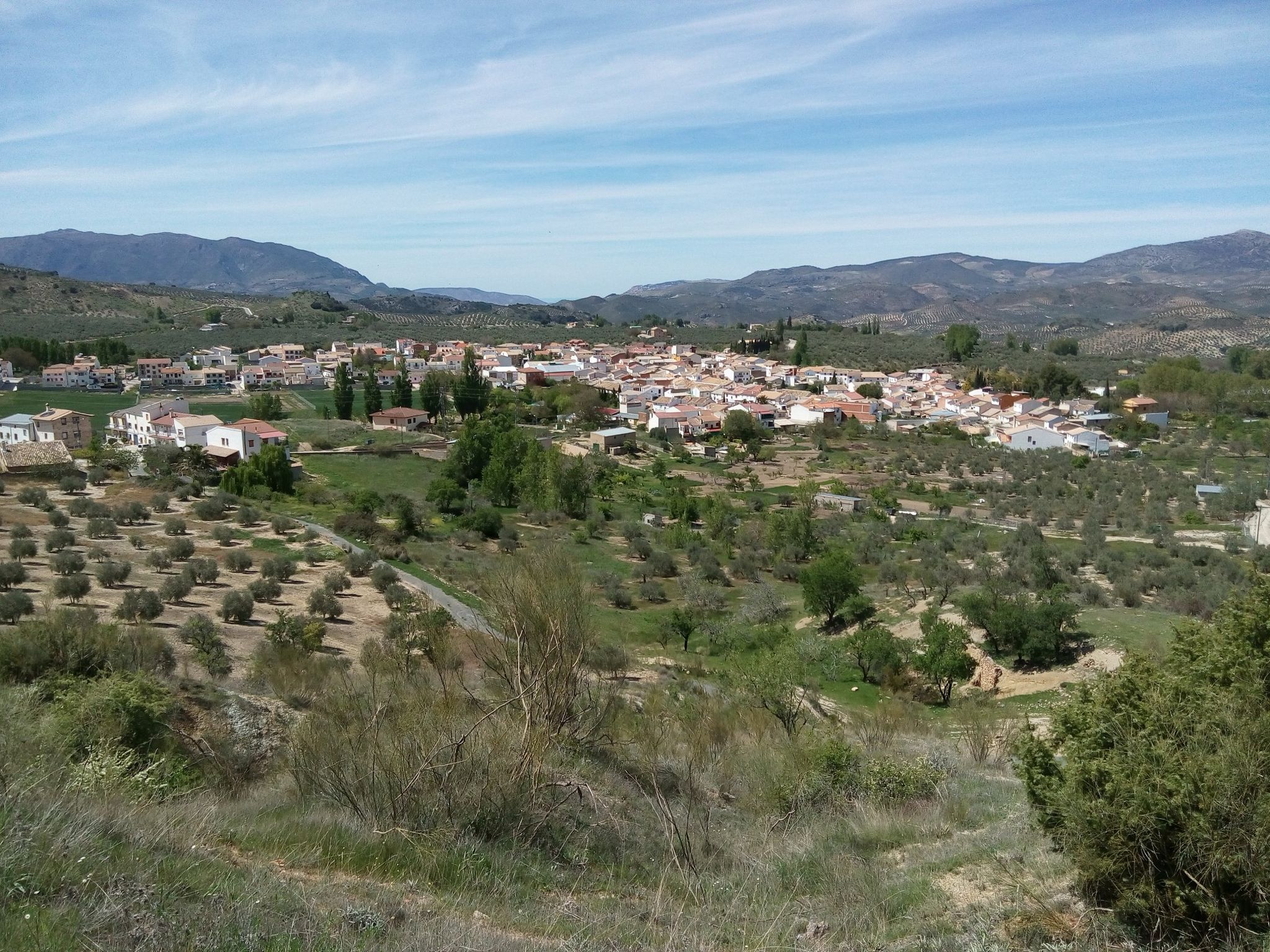 Arbuniel