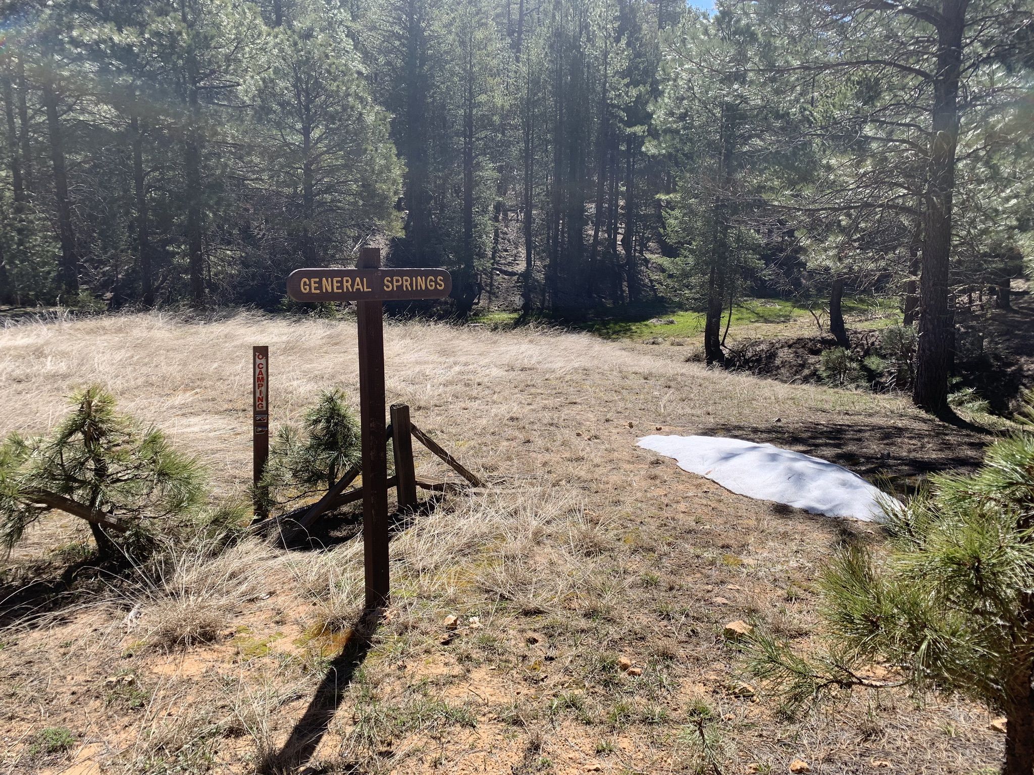 A wooden signpost stands in a grassy clearing with a patch of snow. - Fred Haught Trail