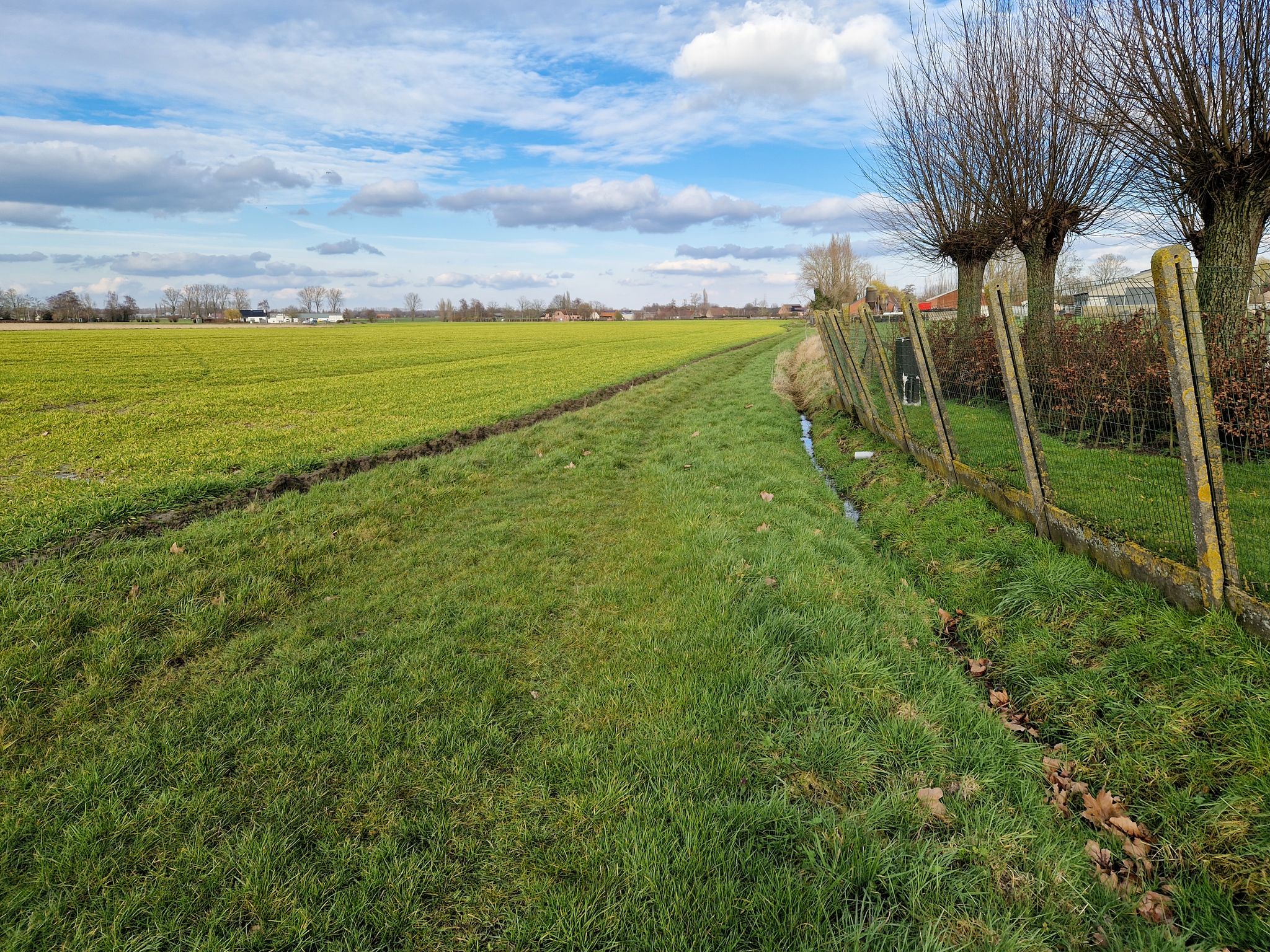 Ploeterend door de drassige Korte Knecht