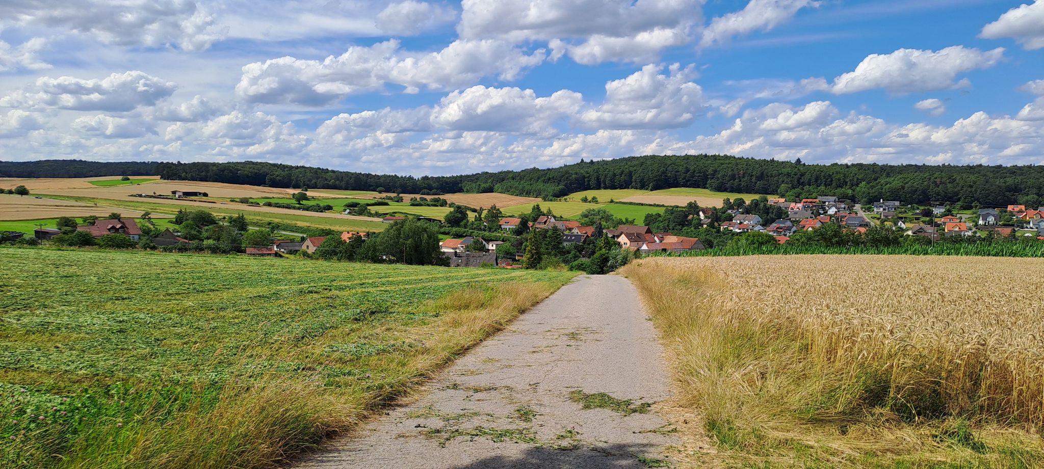 Aussicht auf Weisbrunn