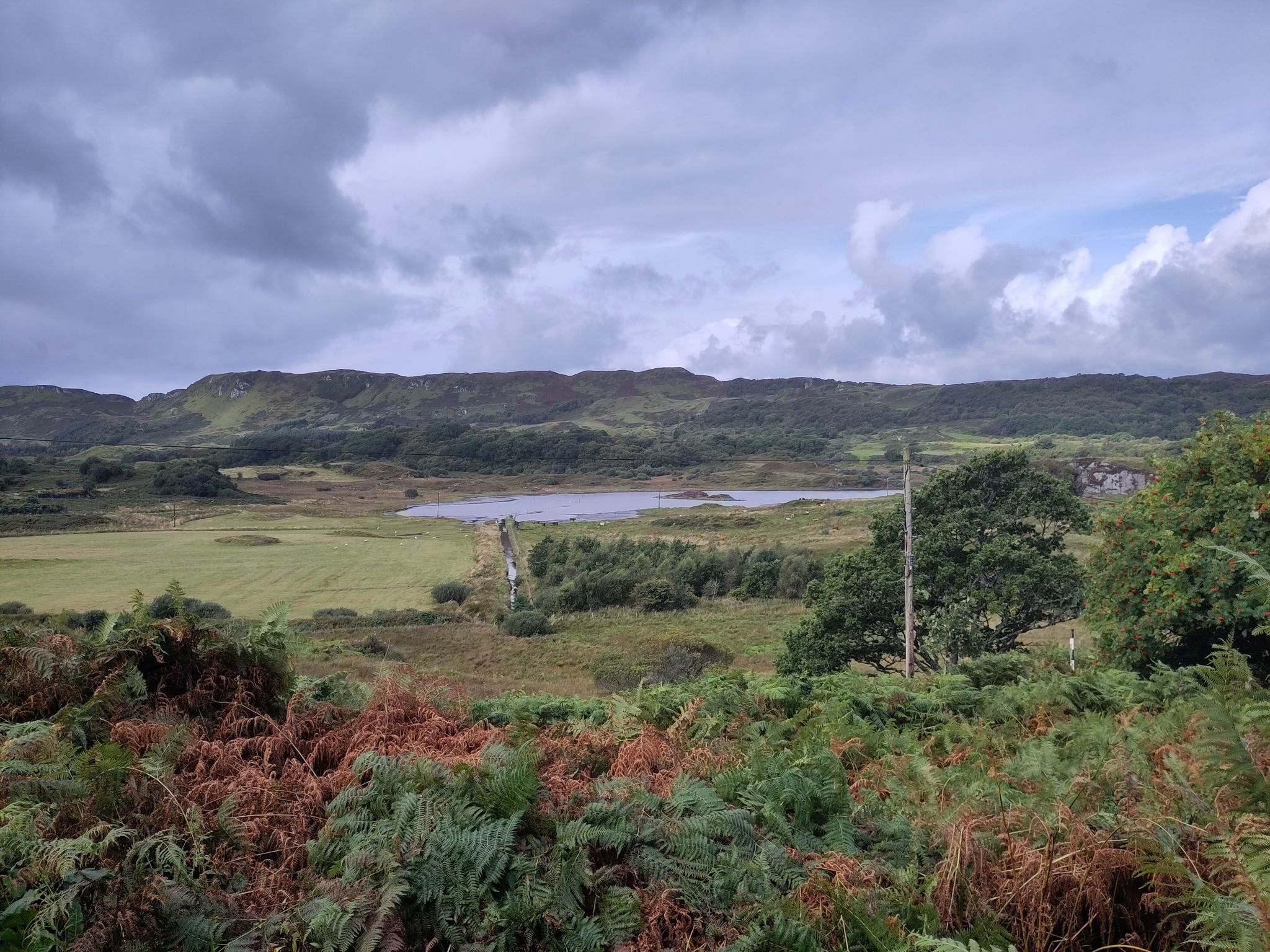 view