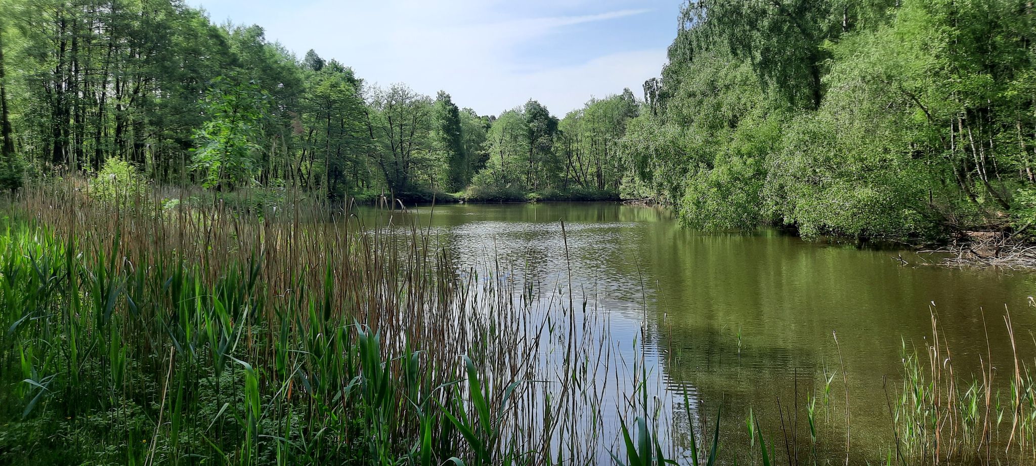 Fischteiche Ventschau