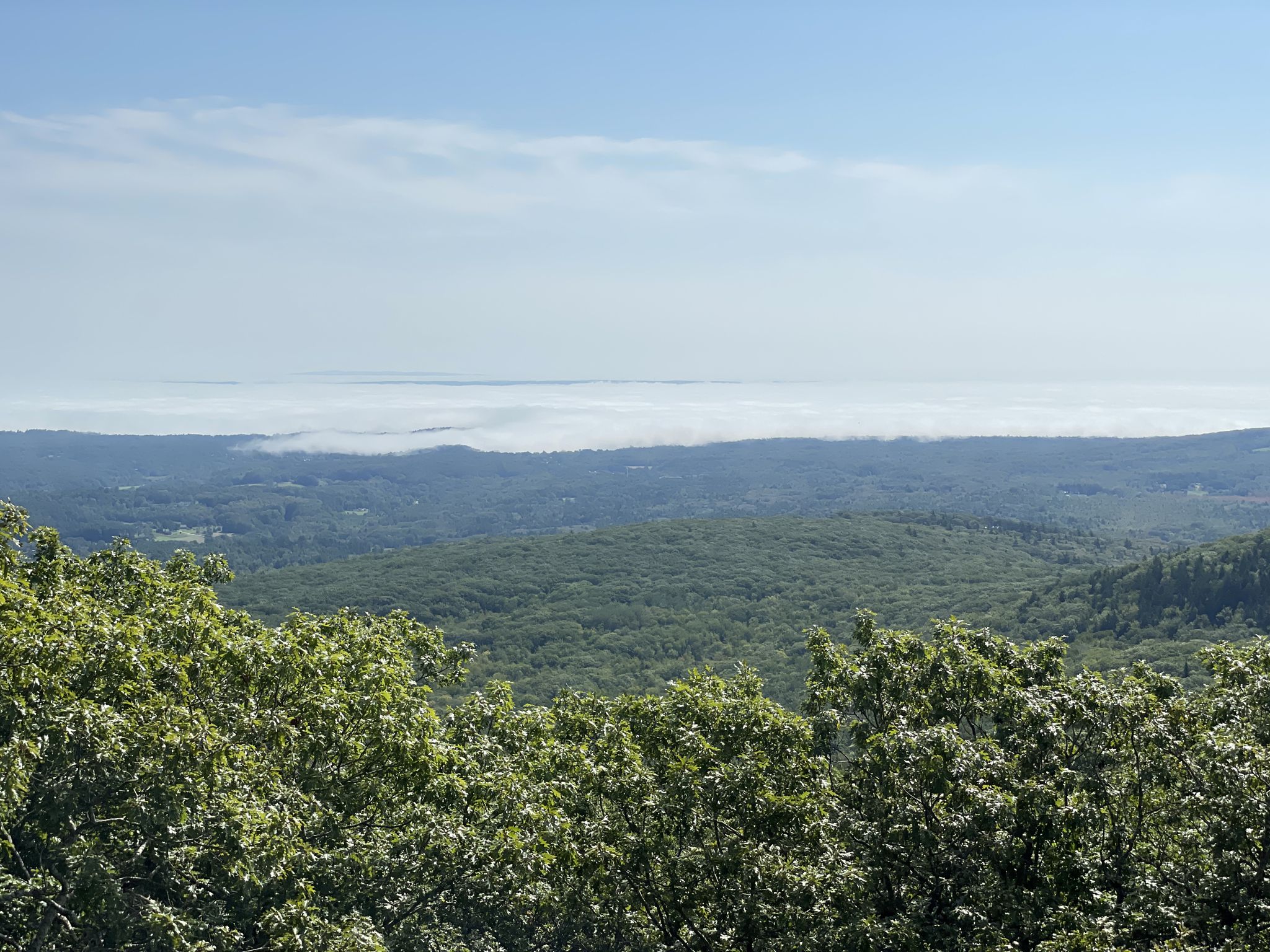 Expansive view of green forests with a distant layer of low-lying fog. - Ragged Mountain Trail
