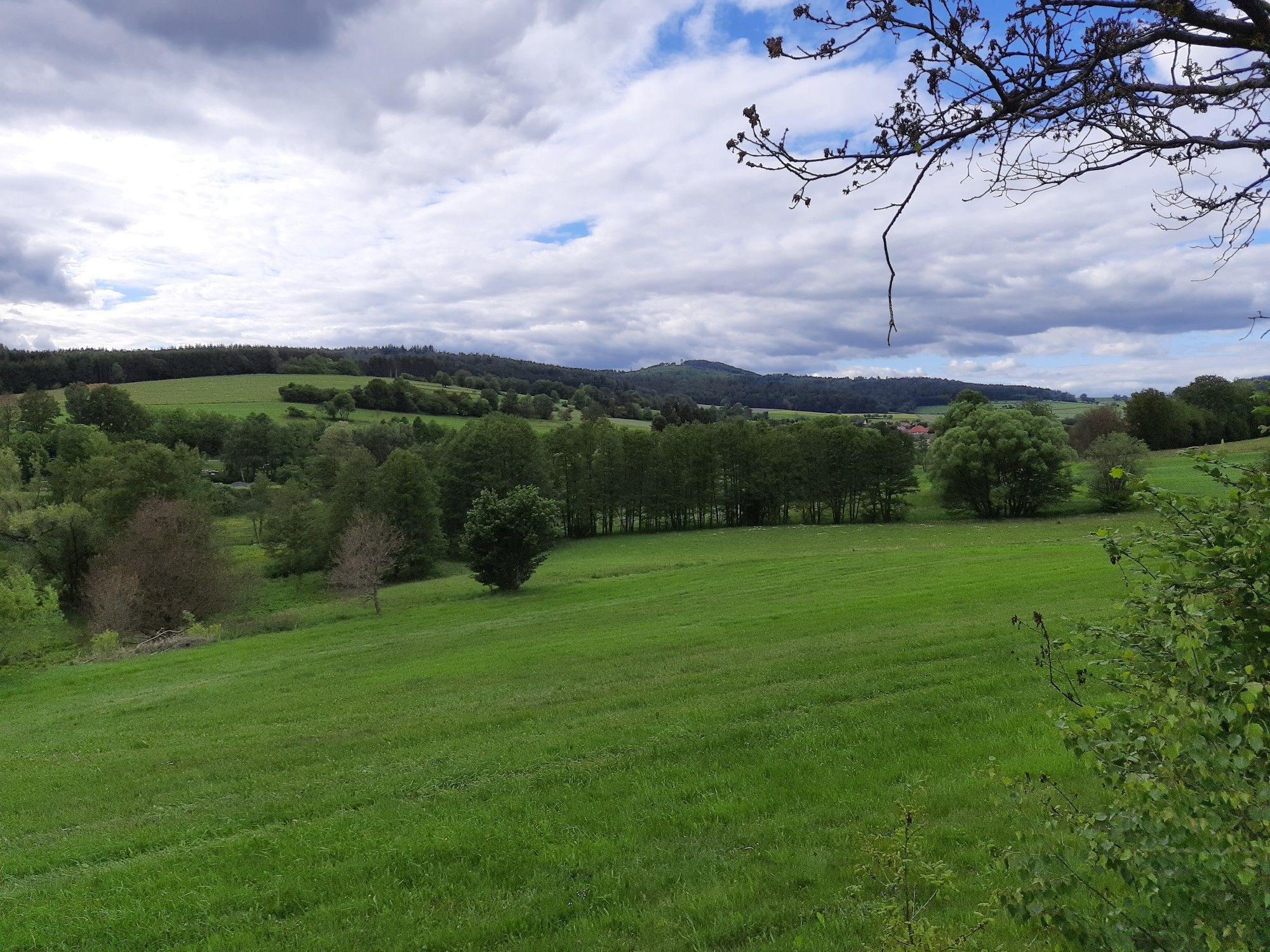 Blick auf die Mottener Haube