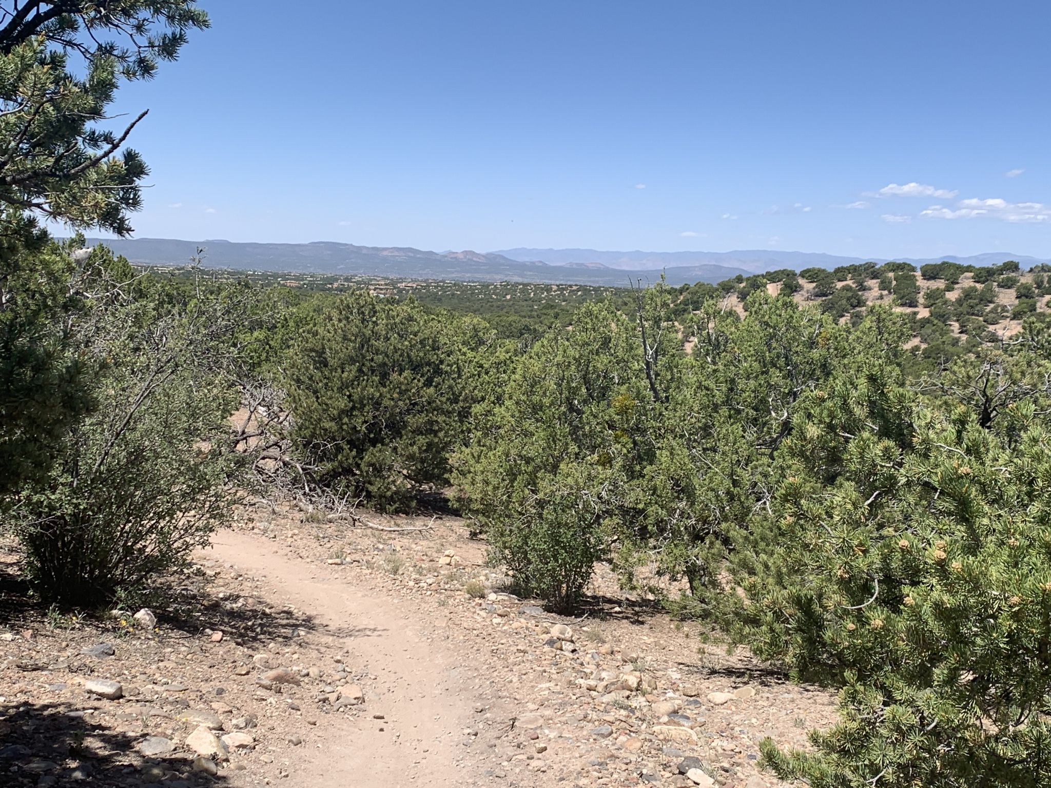 A dirt path through dense green scrub, overlooking a distant hazy valley. - Arroyo Trail