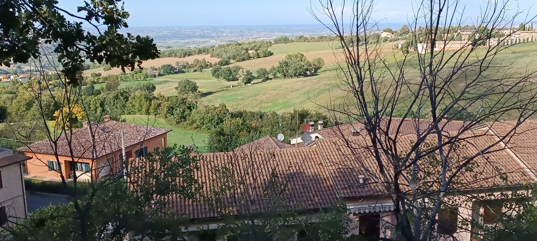 da Cingoli
