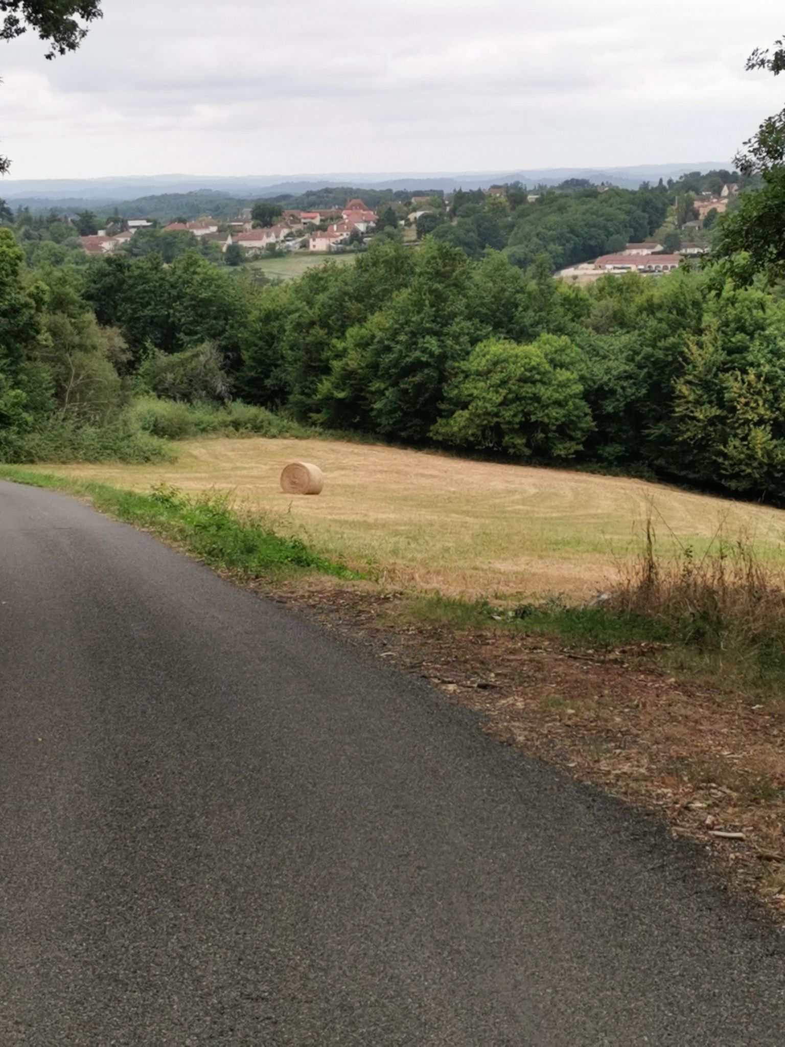 Panorama View