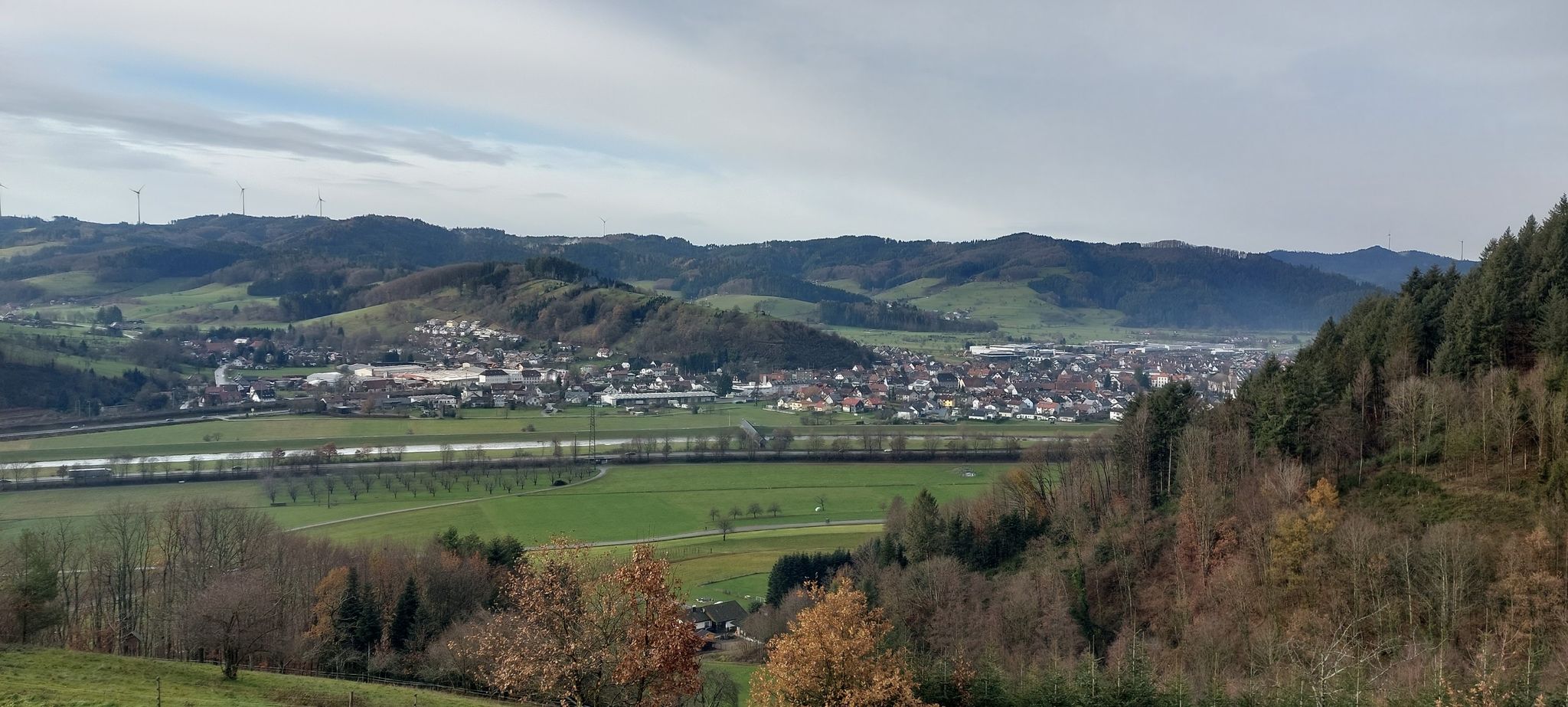 Steinach (Baden)