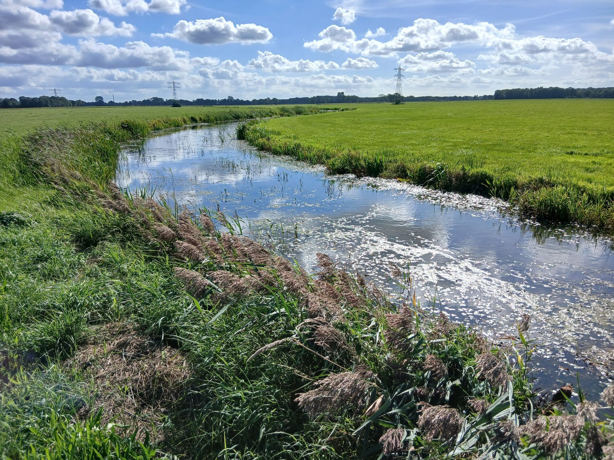 De Kuunder 