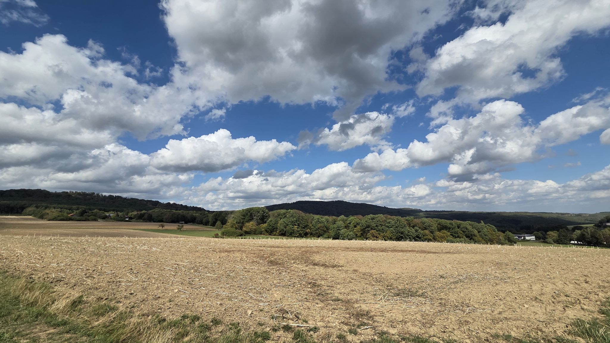 Weg nach Kirschweiler
