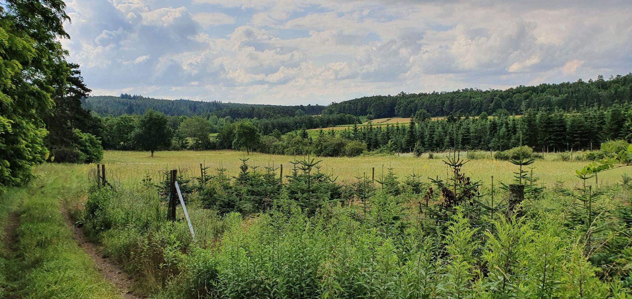 große Heide