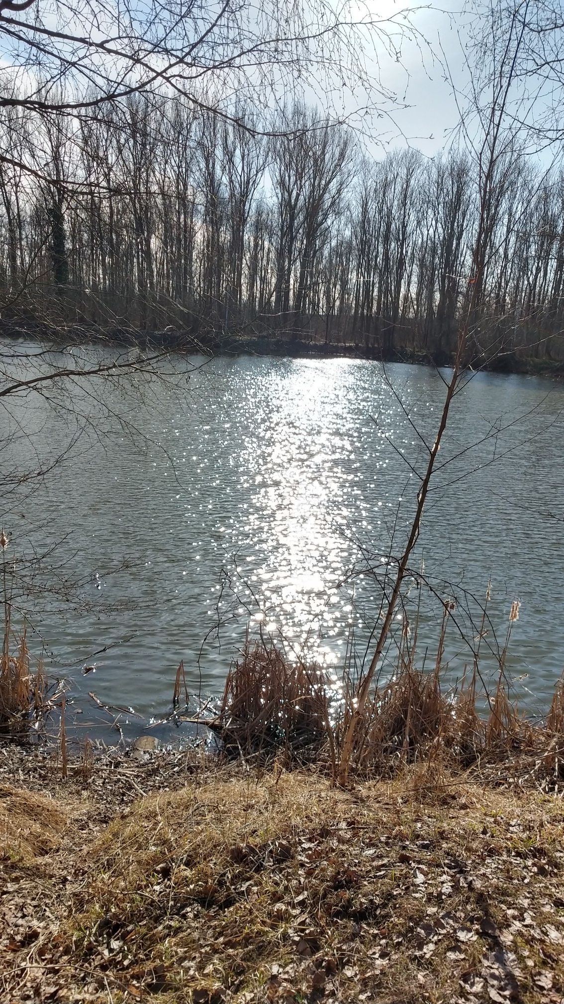 Der Umkehrsee ???