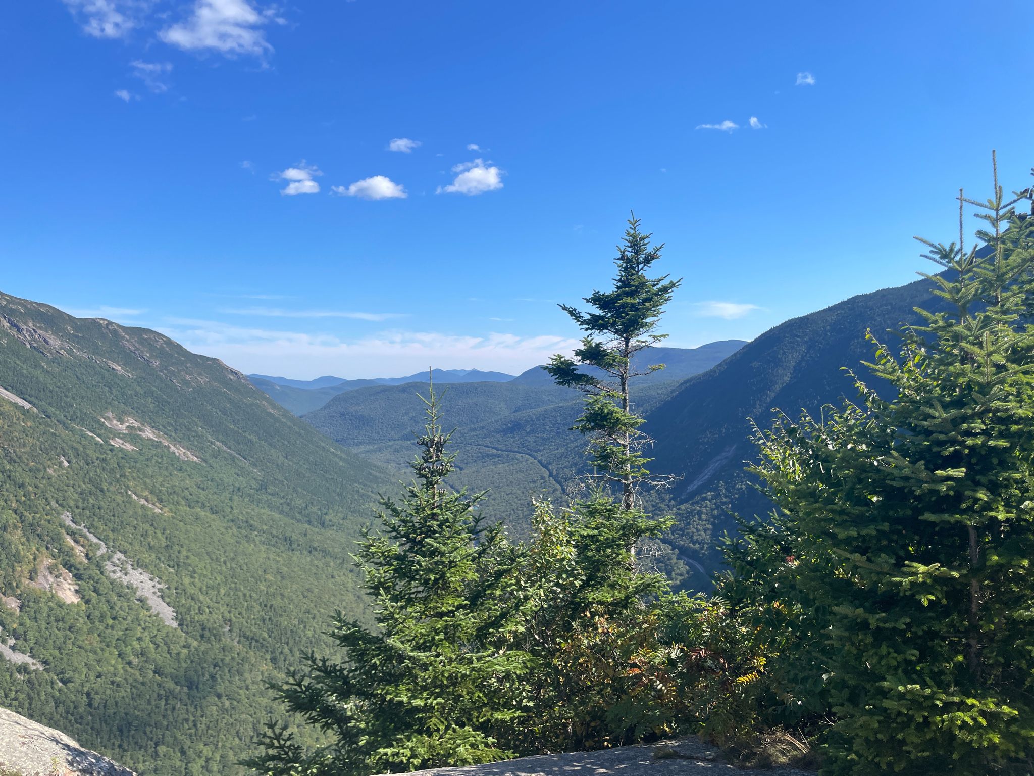 Sunny mountain vista with green valleys and evergreen trees in the foreground. - Mount Willard Trail