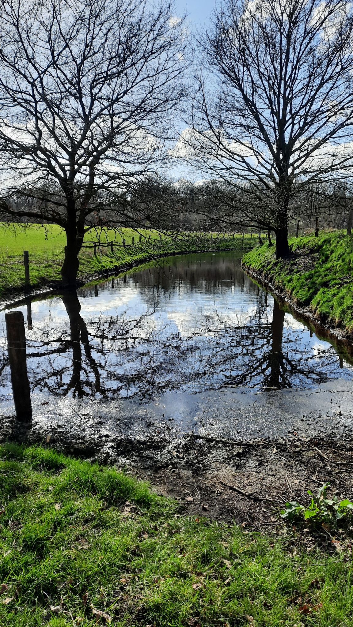 Weiher am Wegesrand