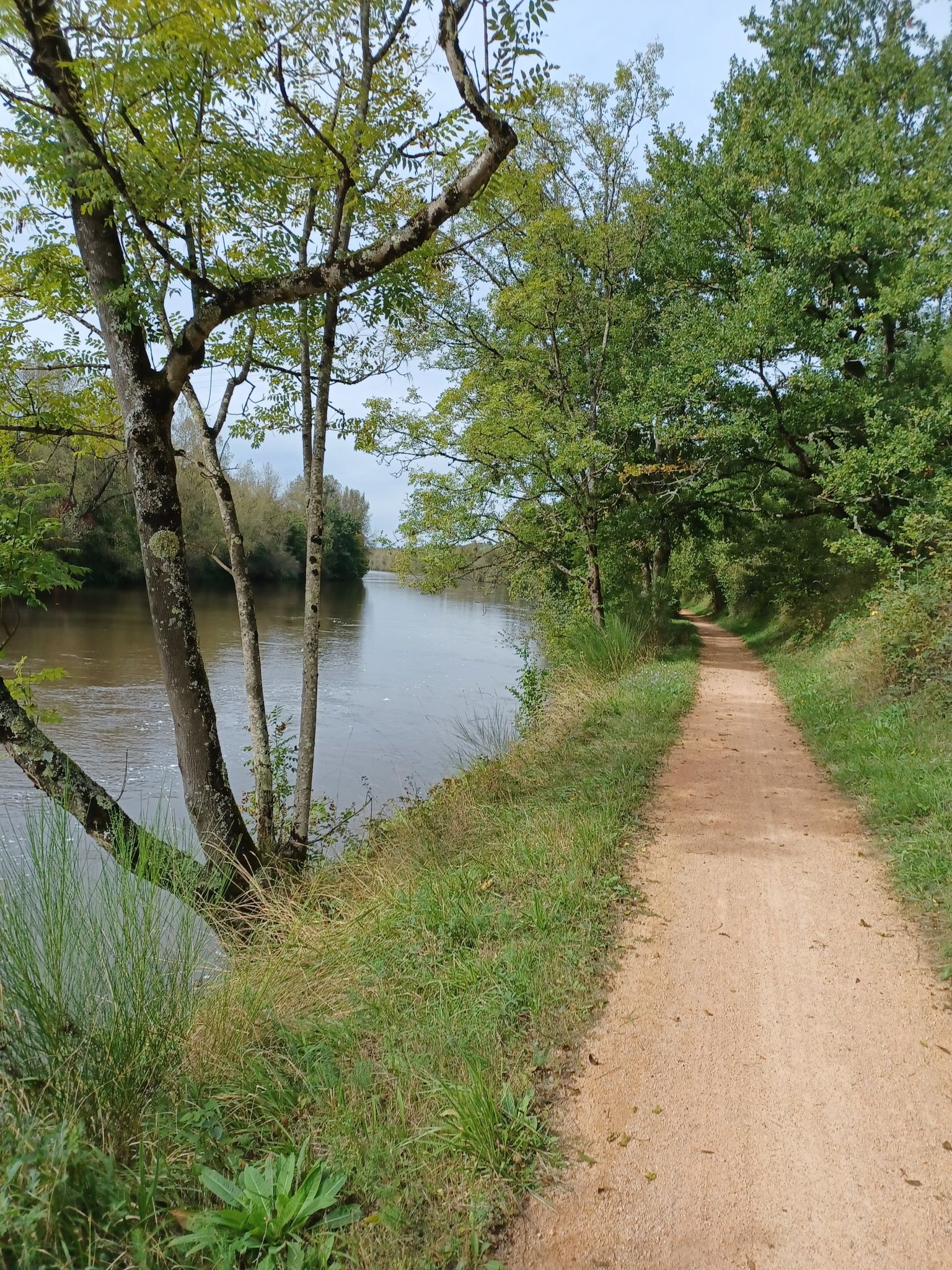 Allier