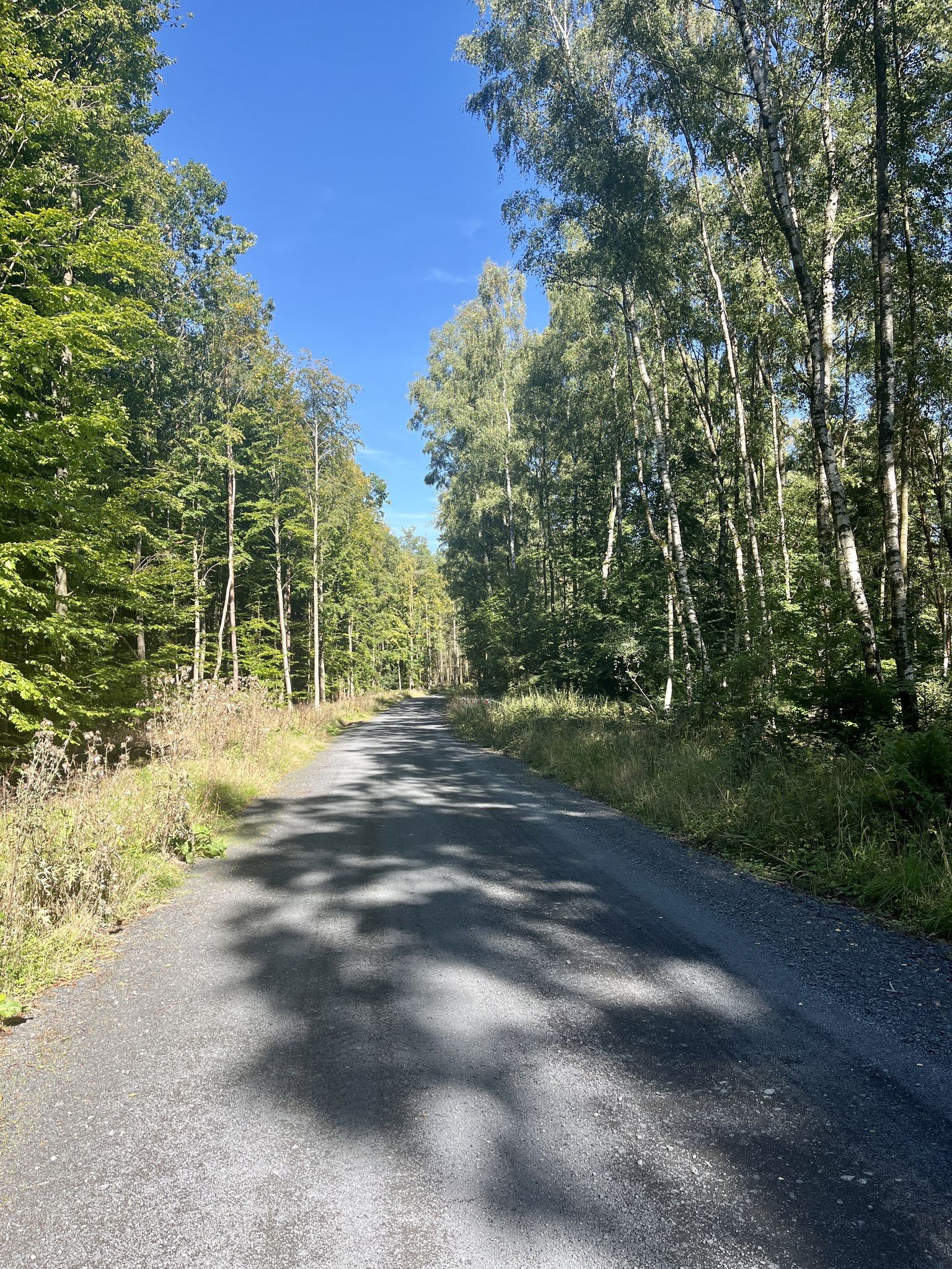 Der schöne Trail wurde eine LKW-Auffahrt aus Split🤨