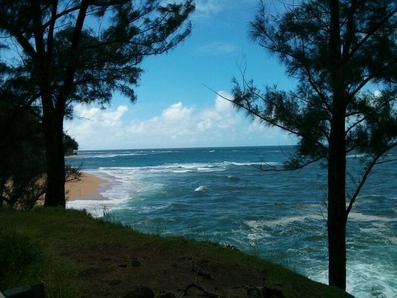 Ocean waves crash on a sandy beach, framed by dark trees. - Lumahaʻi Beach – Lumahaʻi Beach loop from Wainiha