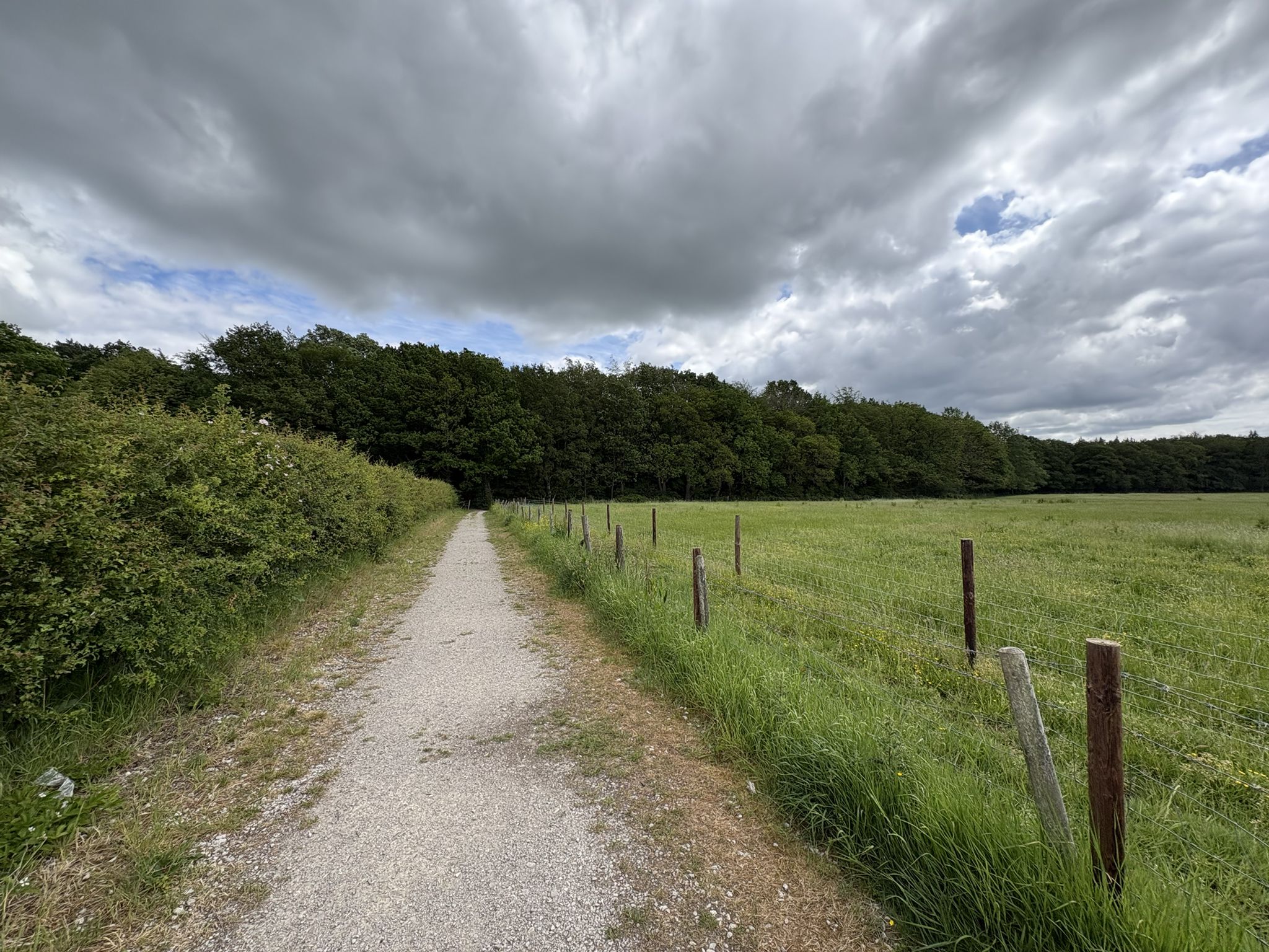 Footpath to Hay Wood