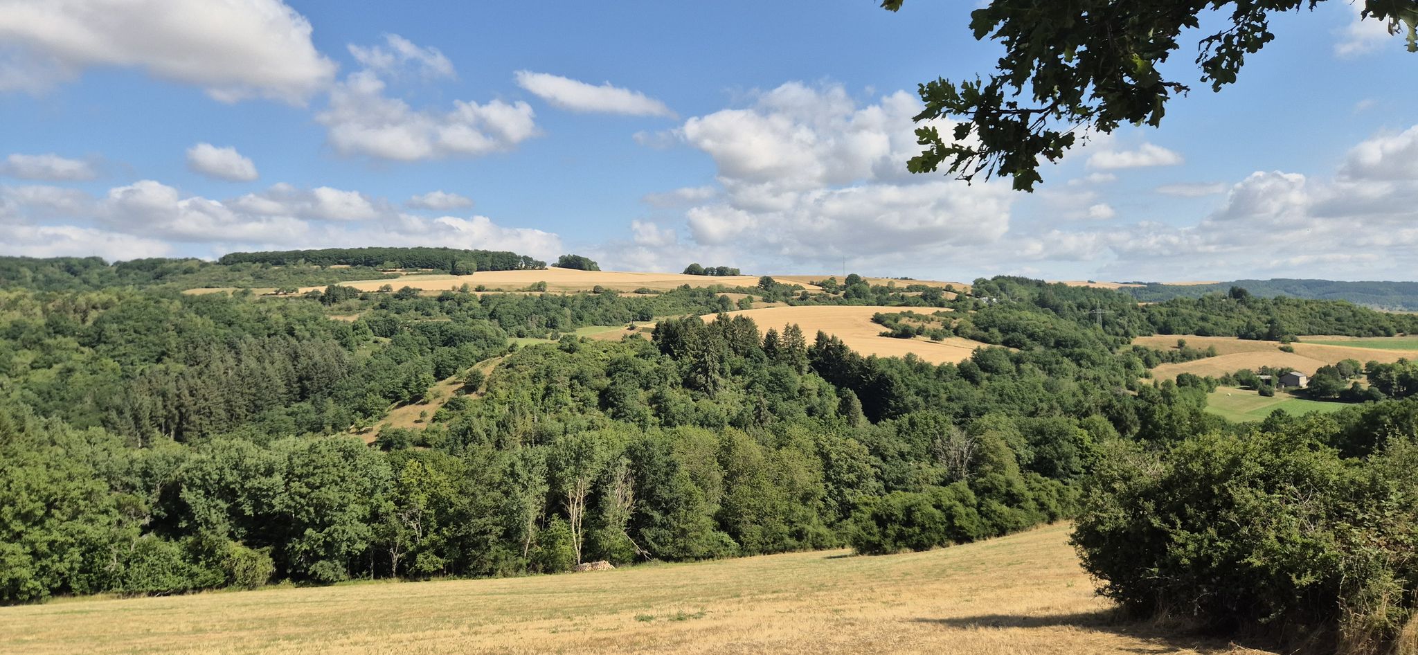 Sommerimpressionen im Nordpfälzer Bergland