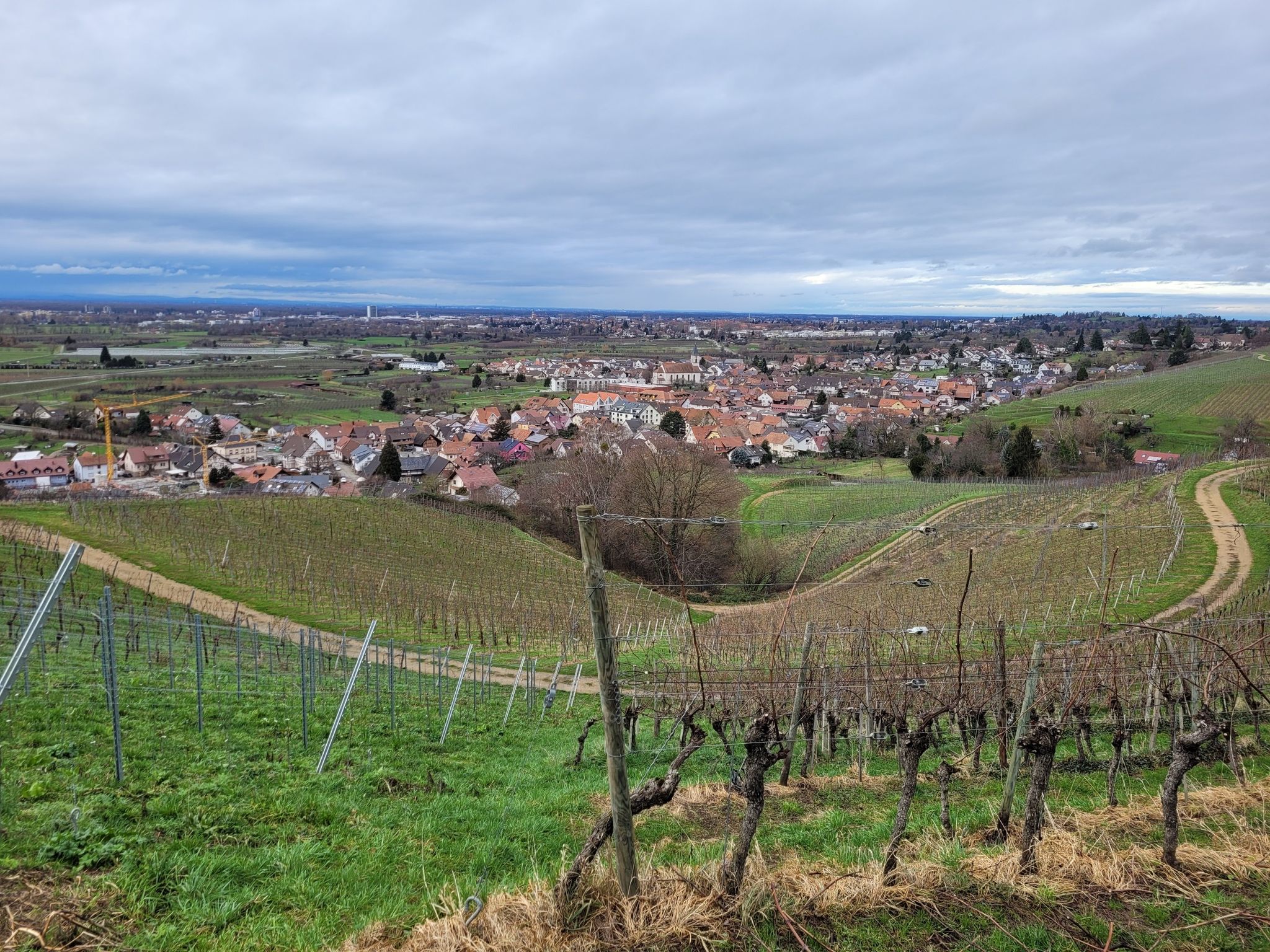 Blick auf Ortenberg