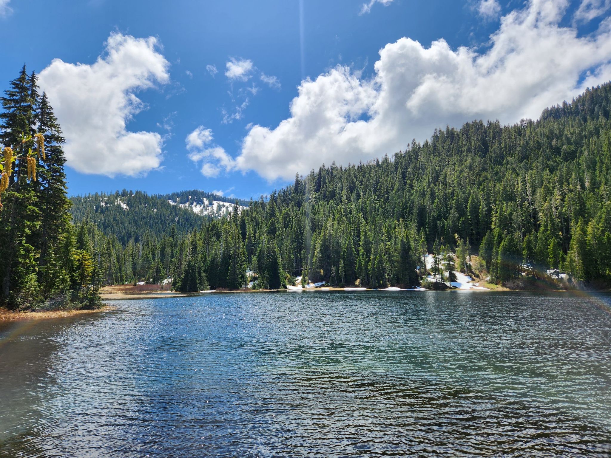 Bright sunny day over a clear lake surrounded by pine forests and snowy peaks. - Lunch Lake Trail
