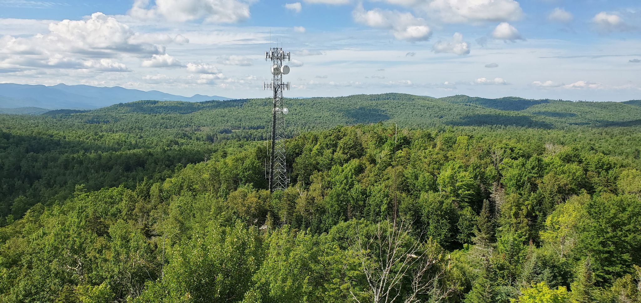 A tall communication tower rises above a vast green forest under a partly cloudy sky. - Belfry Mountain loop from Pitchoff Mountain