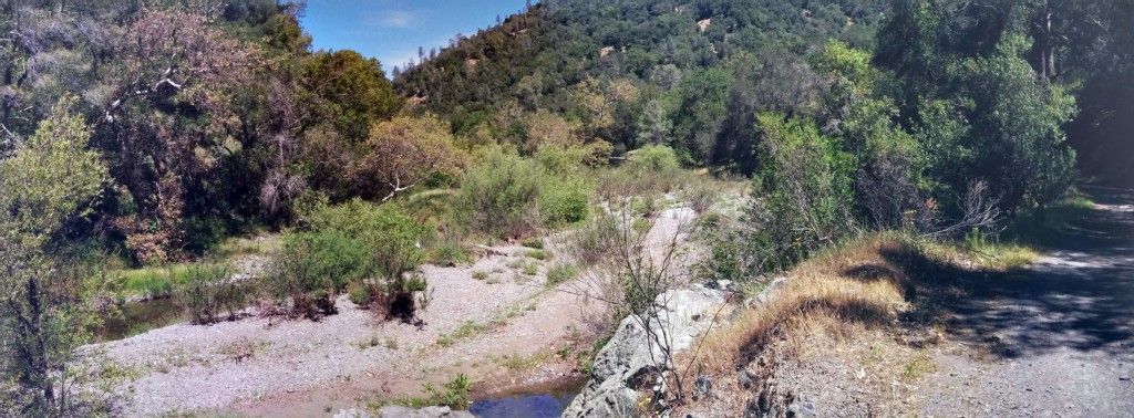 A panoramic view of a dry riverbed with sparse water, surrounded by trees. - Connector Trail Junction – Jim Donnelly Trail loop from Coyote Station 21