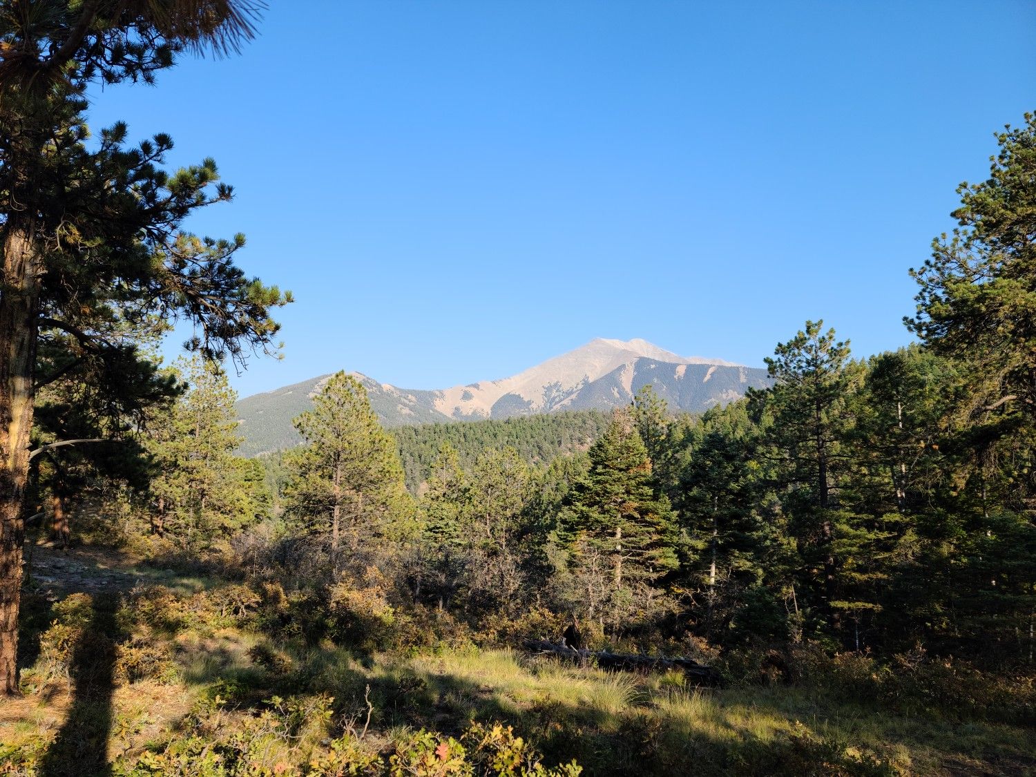 Sunlit mountain peak above a dense forest under a clear blue sky. - Wahatoya Trail