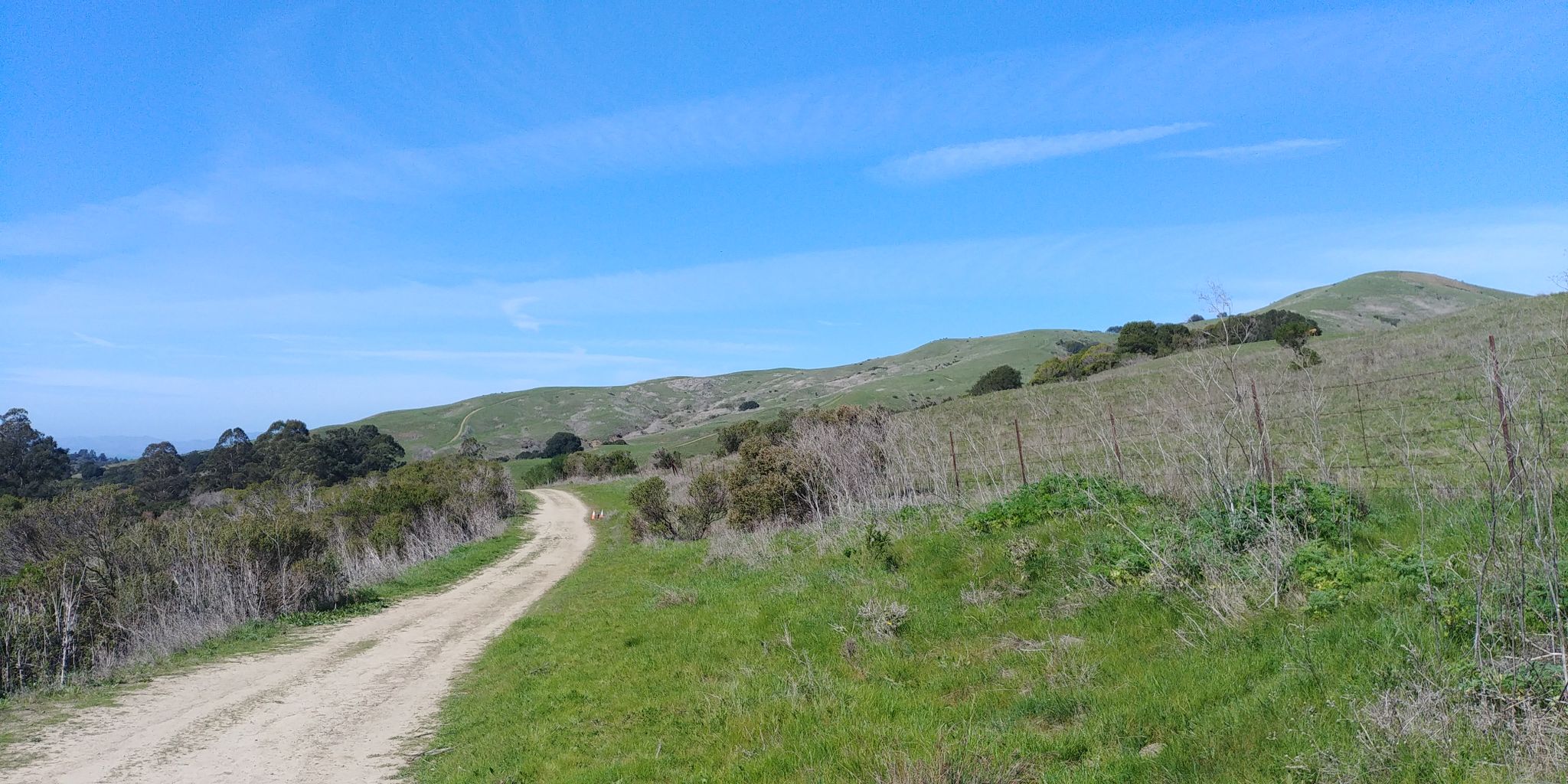 Dirt road winding through green hills under a bright blue sky. - East Bay Skyline Loop