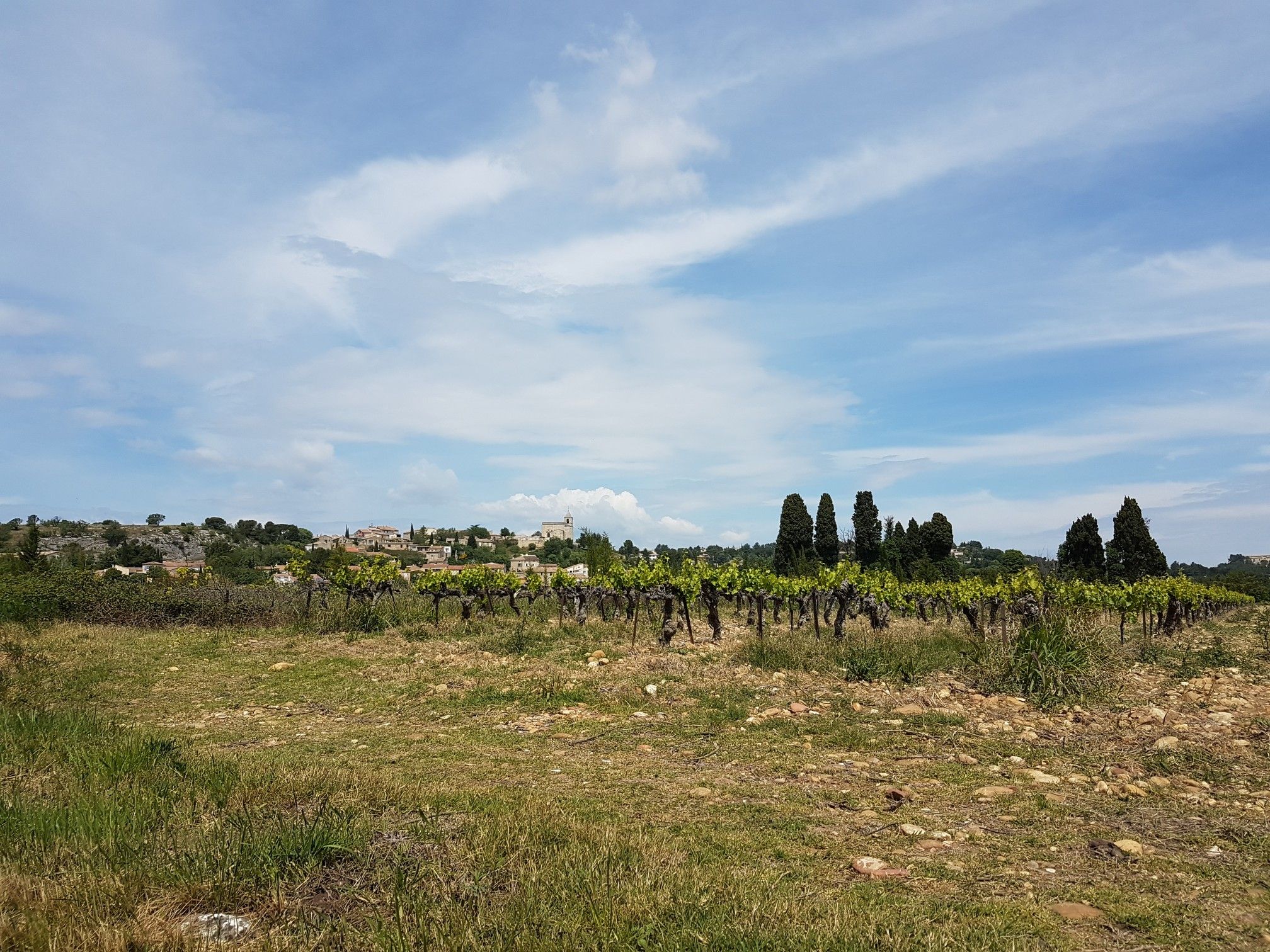 Blick auf Rochefort-du-Gard