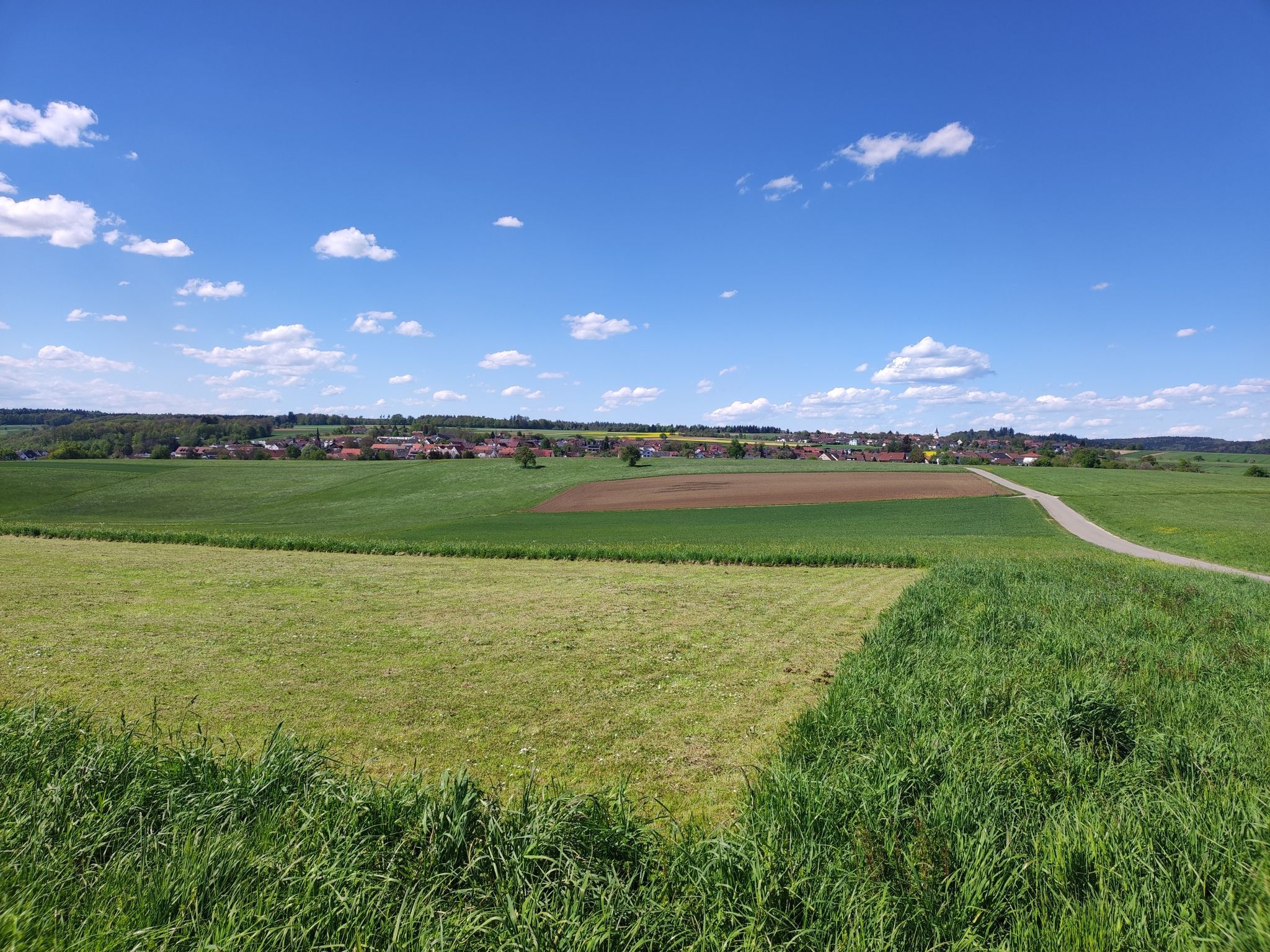 Blick auf Wangen