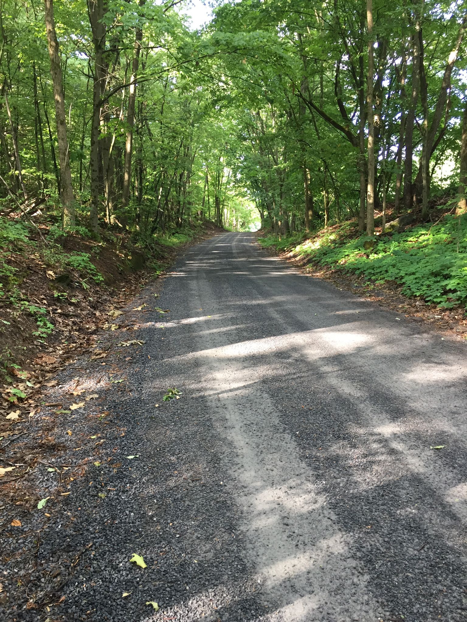 Great gravel conditions. 