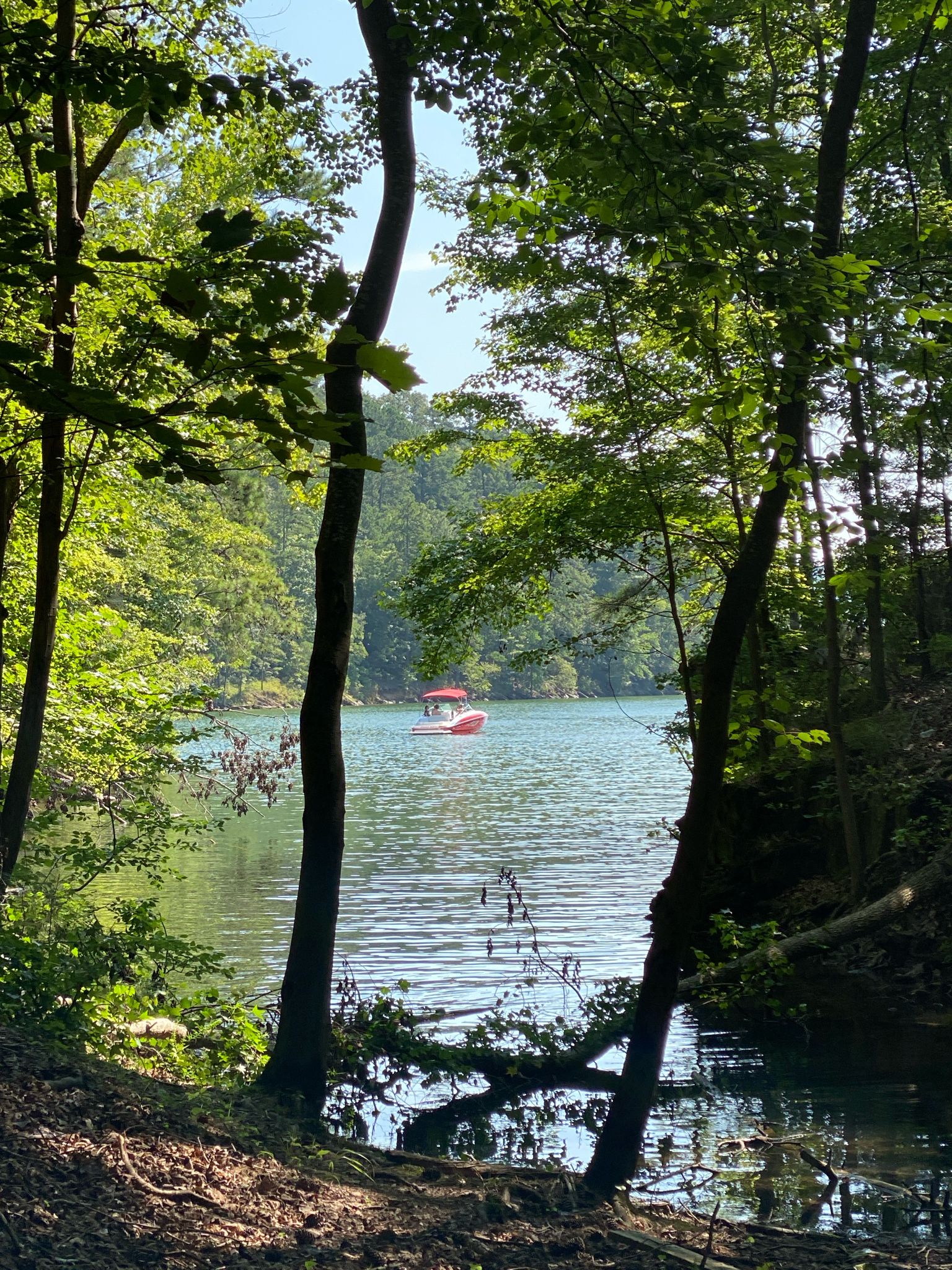A red boat on a sunny lake, framed by green trees. - Vineyard Mountain Trail