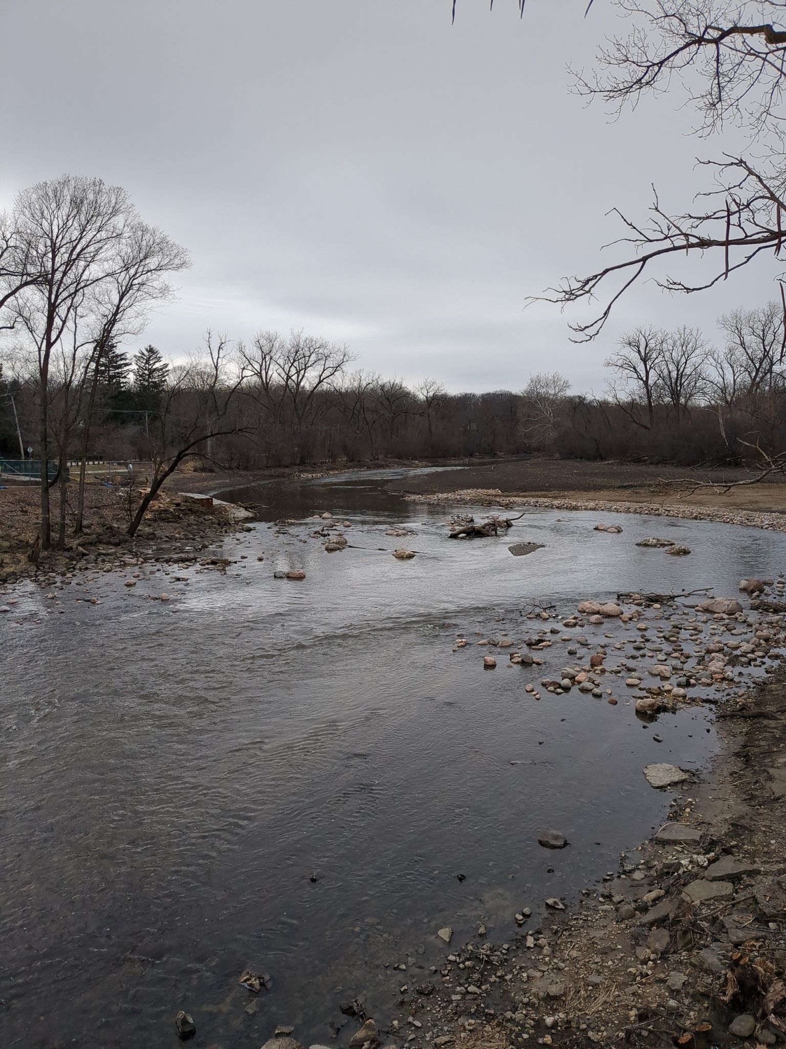 A wide river with rocky banks and bare trees under a cloudy sky. - Riverbend and Night Heron Trail