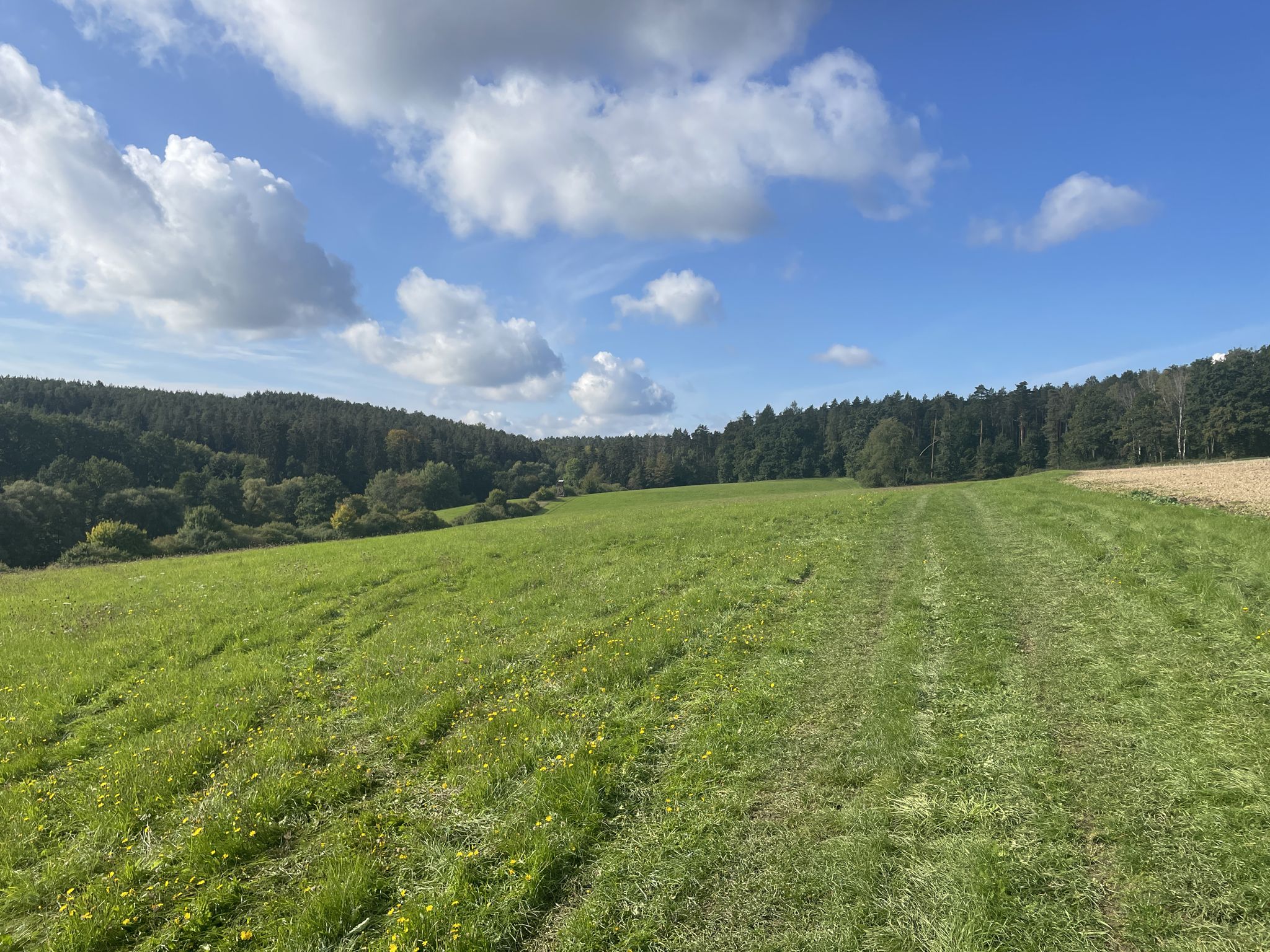 Hier irgendwo befand sich die Wüstung Schliefstein